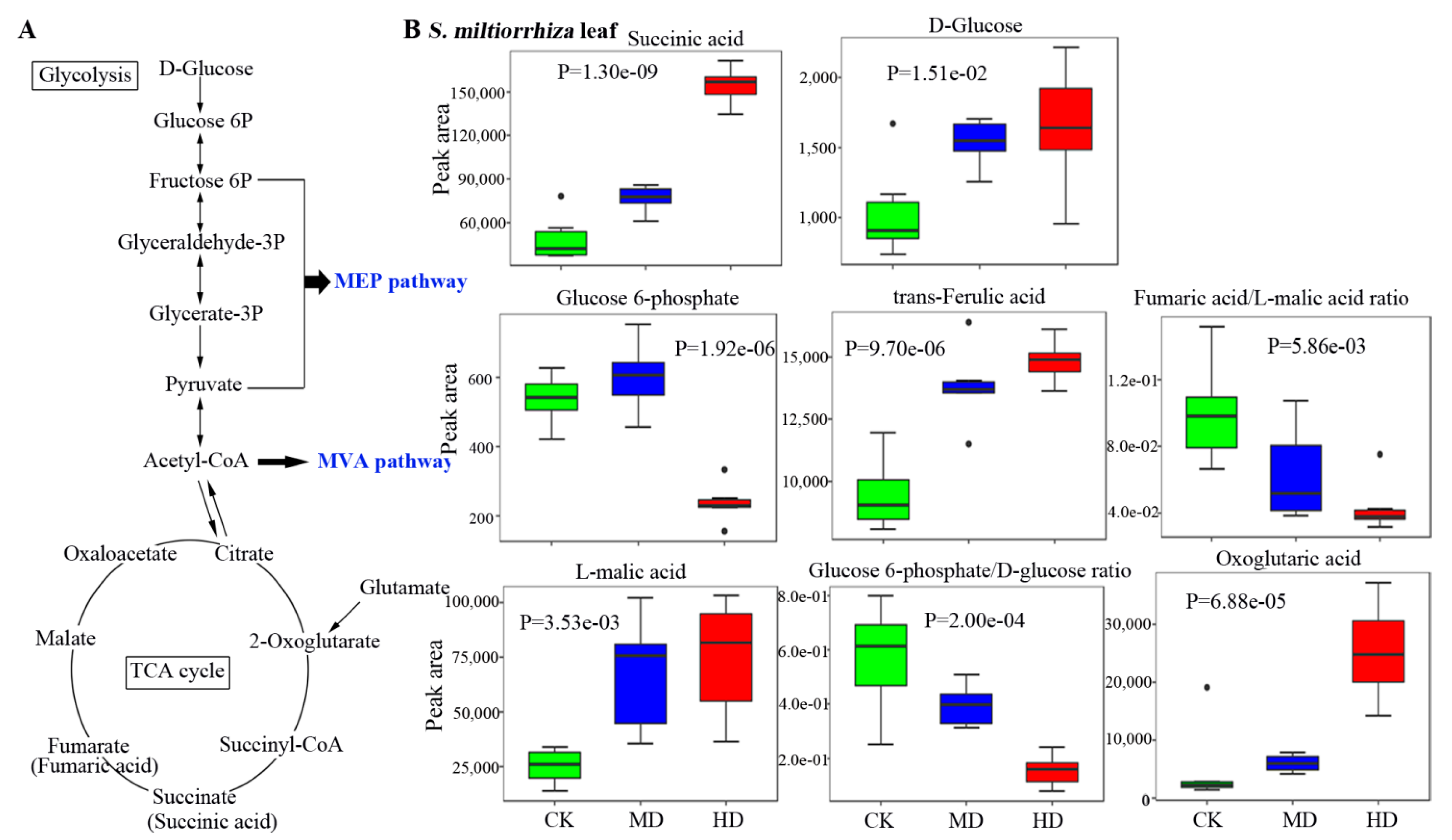 Horticulturae 07 00175 g004