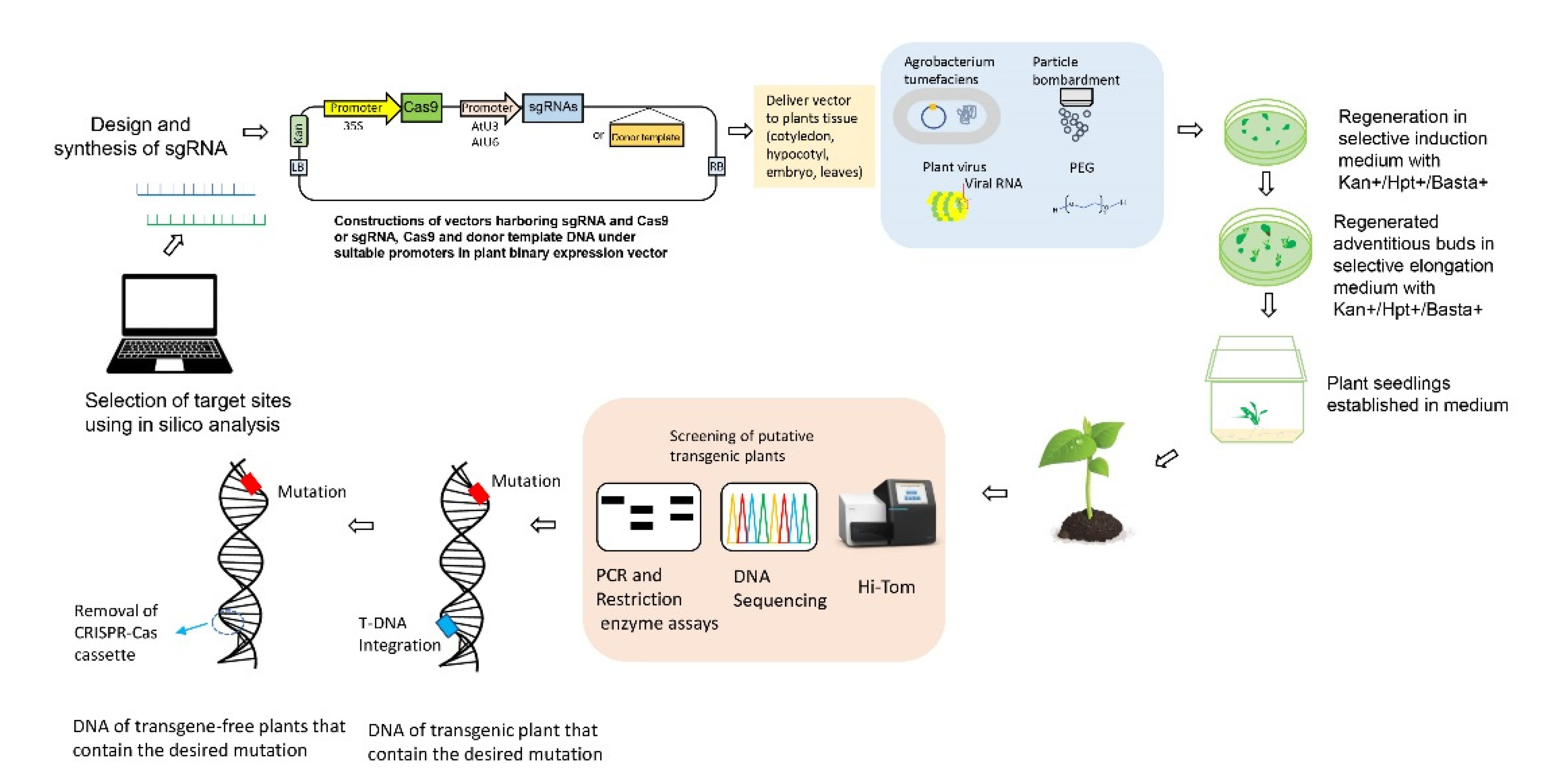 Horticulturae 07 00193 g002