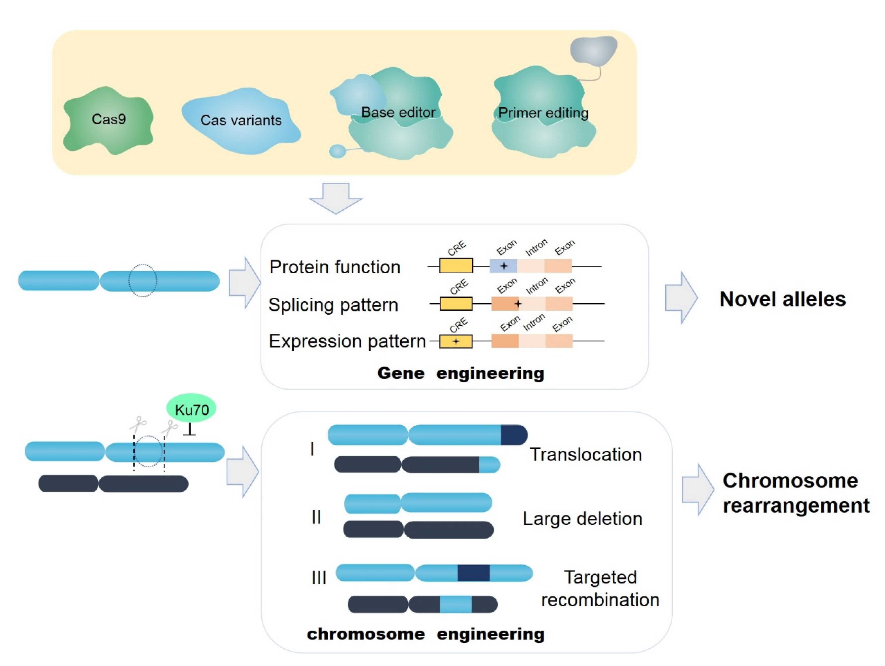 Horticulturae 07 00193 g003