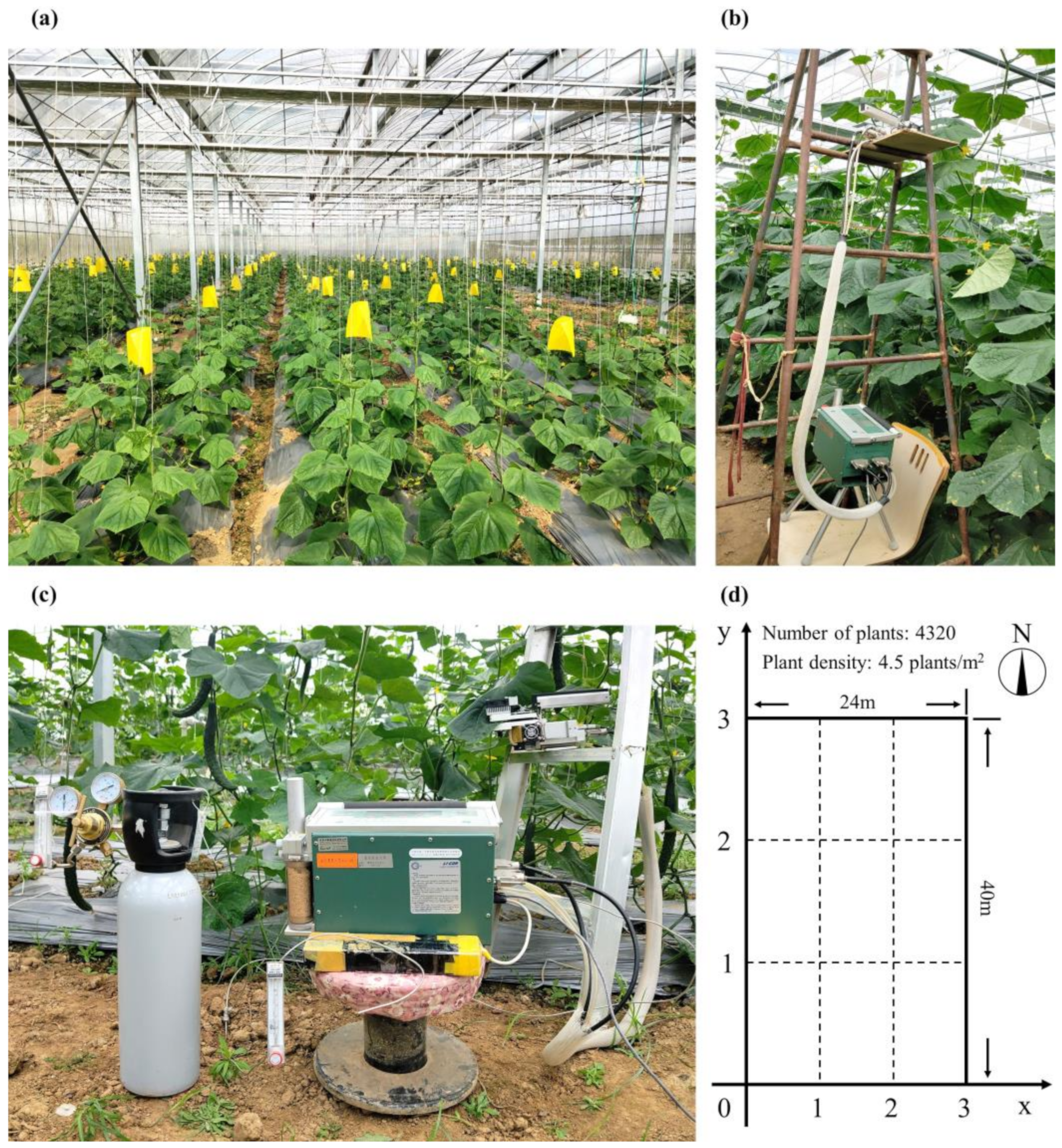 Horticulturae 07 00207 g001 Horticulturae 07 00207 g001