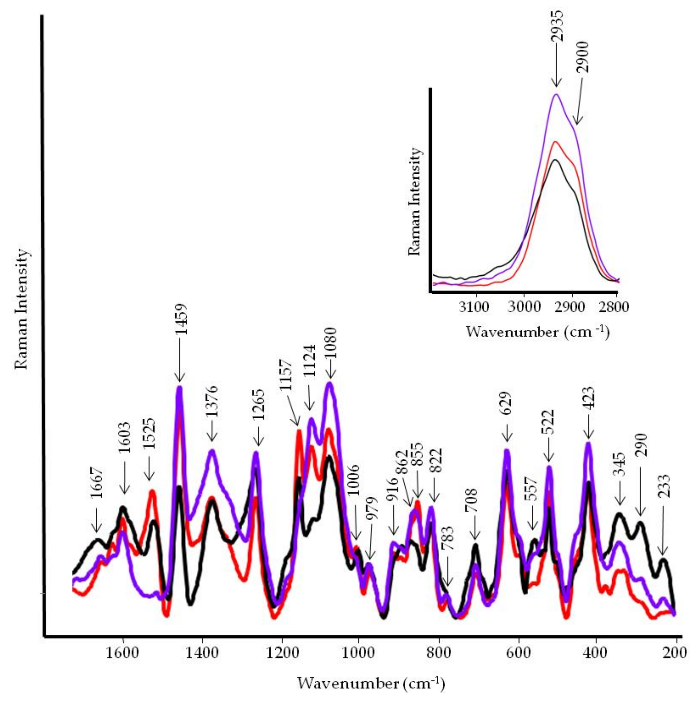 Horticulturae 07 00210 g011