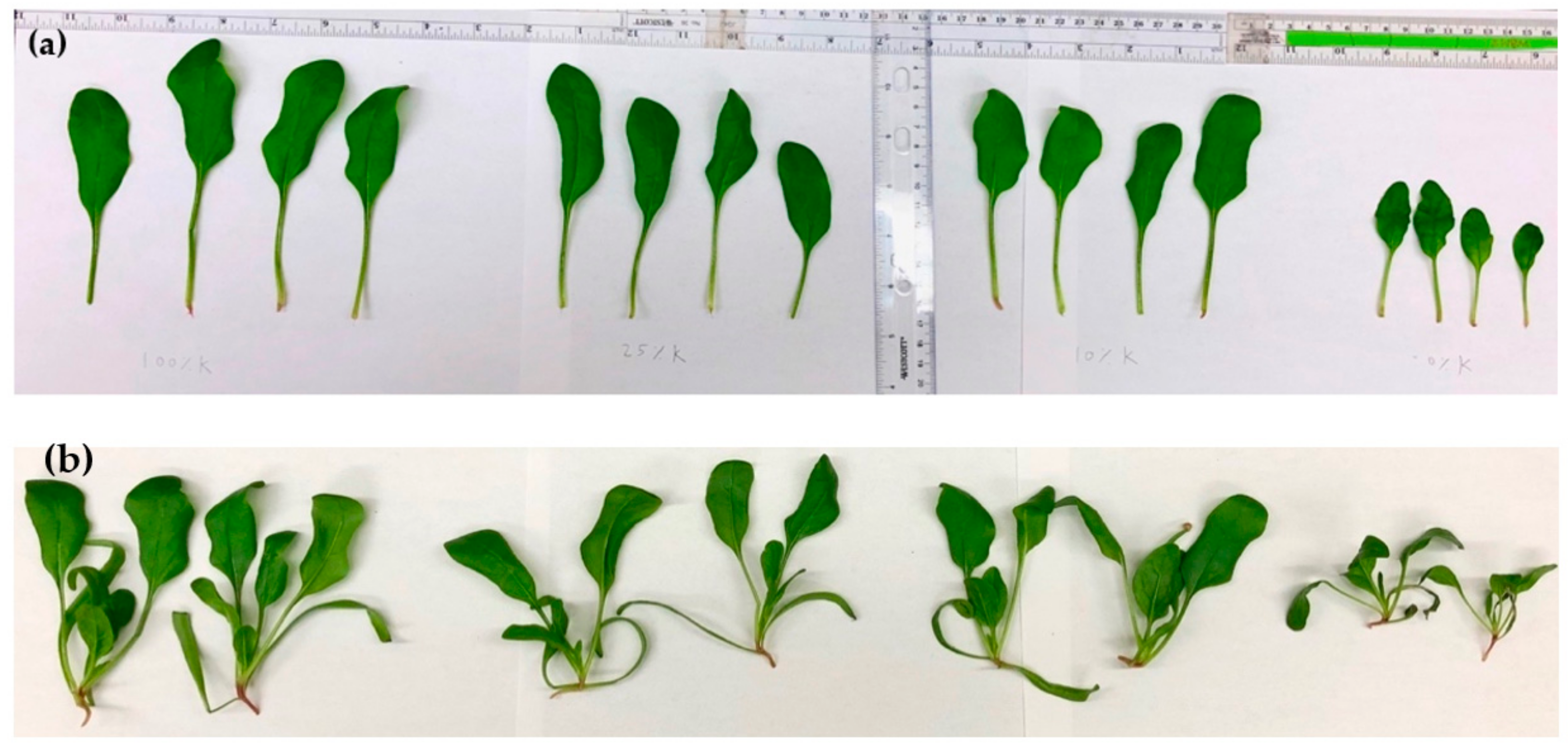 Horticulturae 07 00213 g003 550