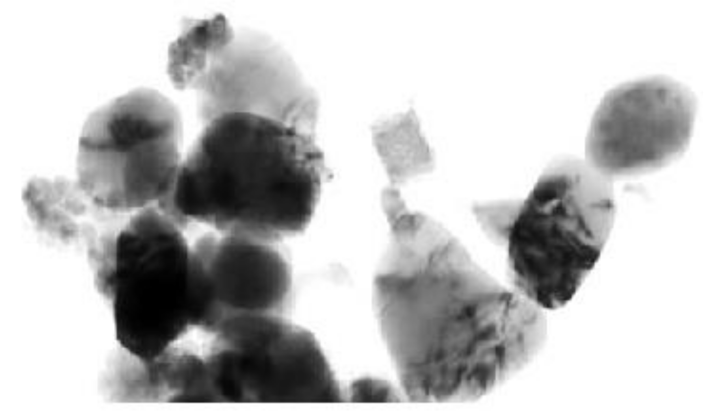 Horticulturae 07 00224 g001