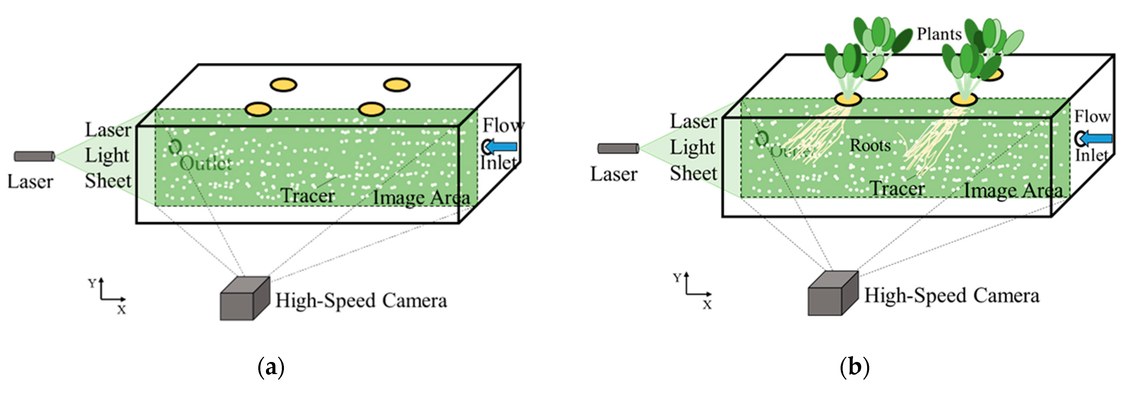 Horticulturae 07 00225 g003 Horticulturae 07 00225 g003