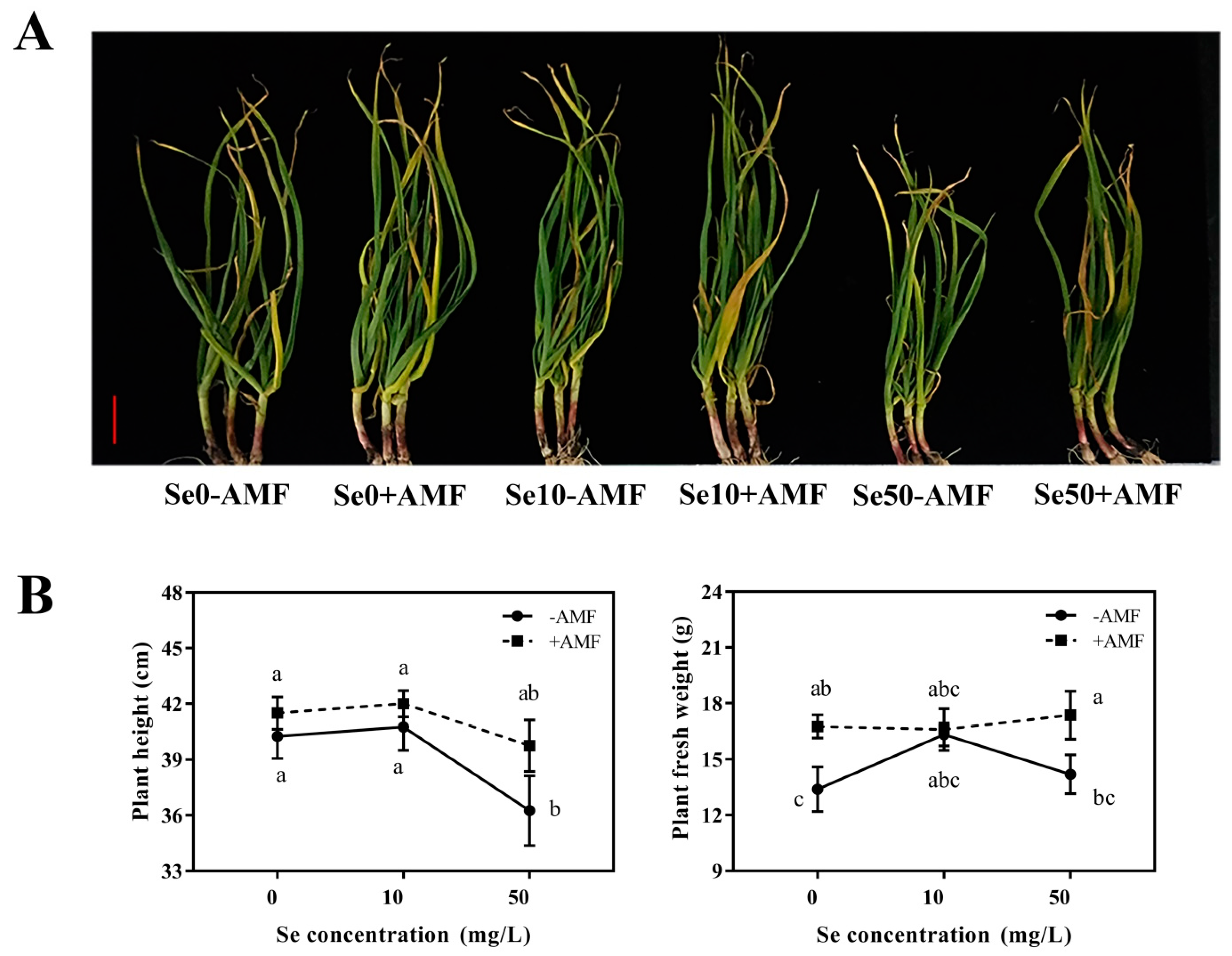 Horticulturae 07 00230 g003