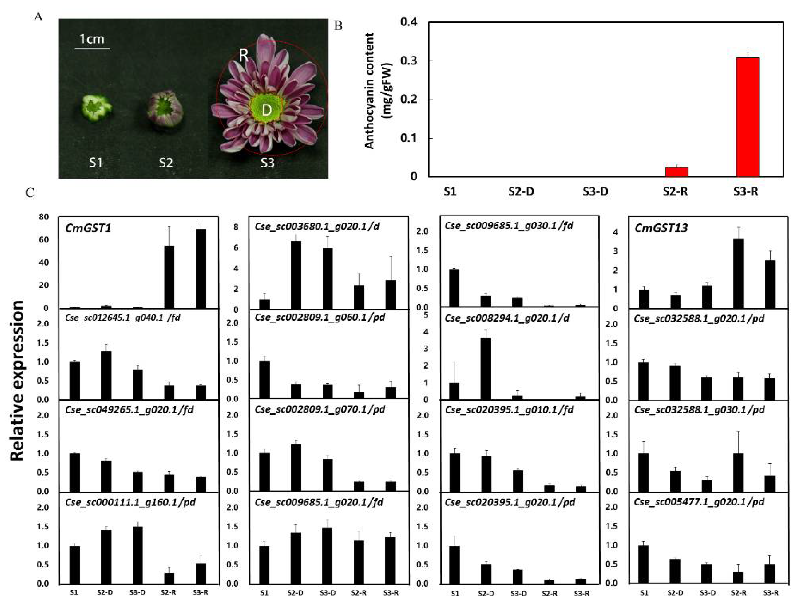 Horticulturae 07 00231 g002
