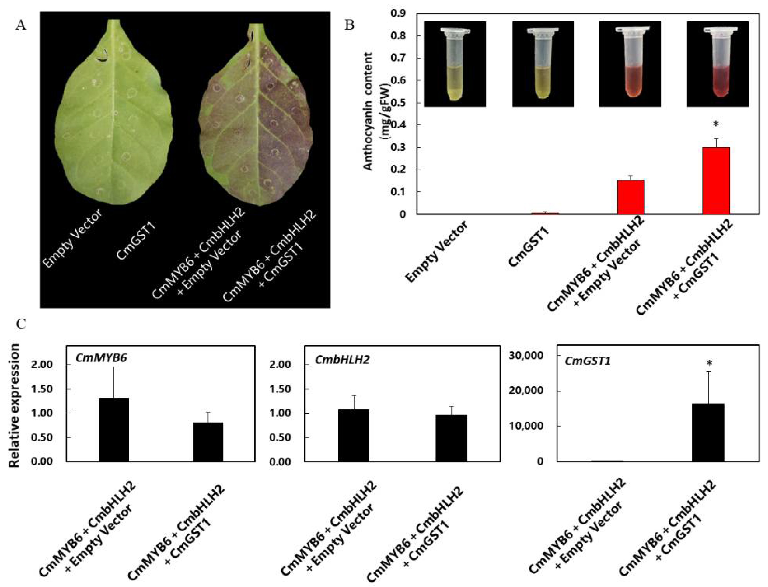 Horticulturae 07 00231 g005