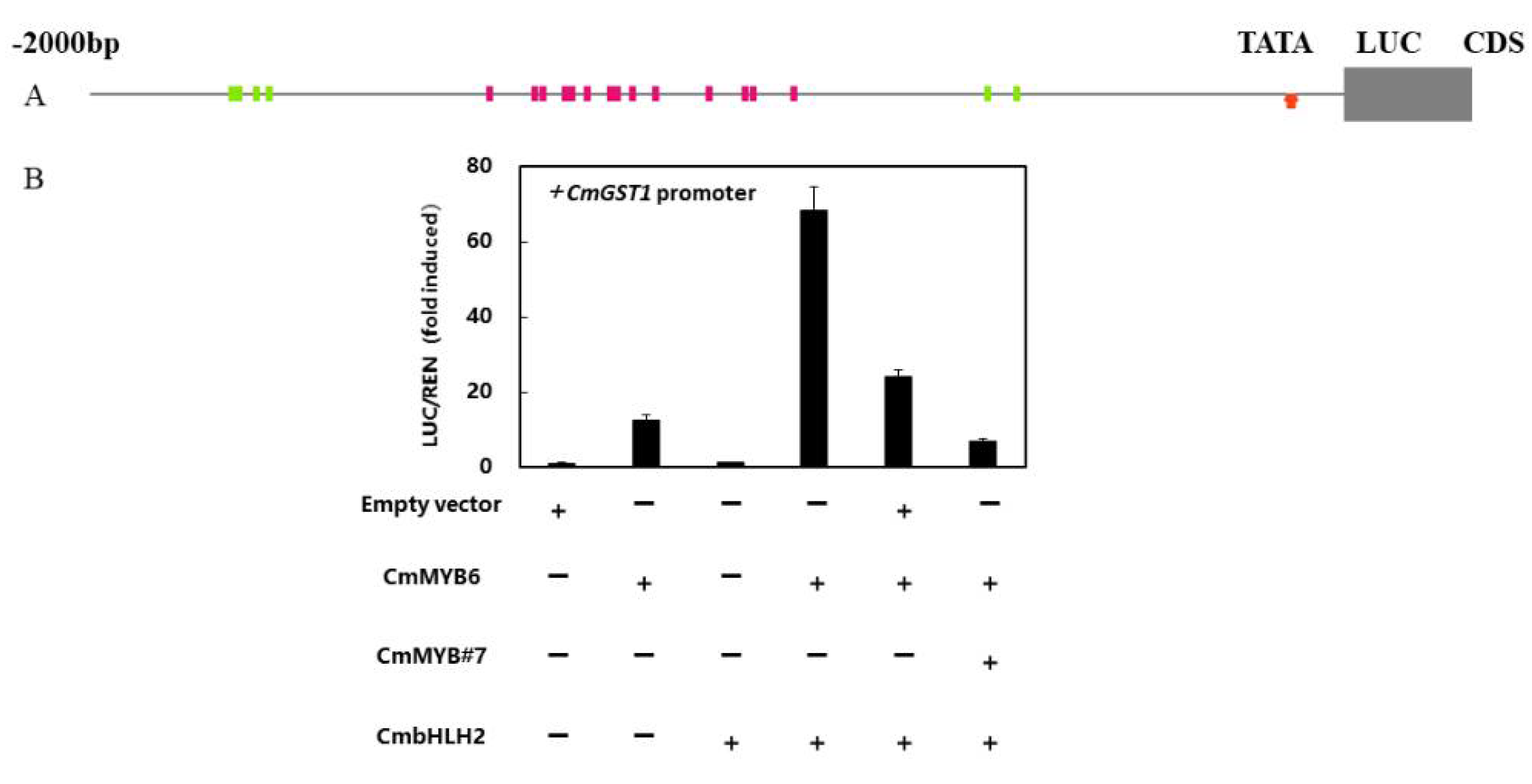Horticulturae 07 00231 g007