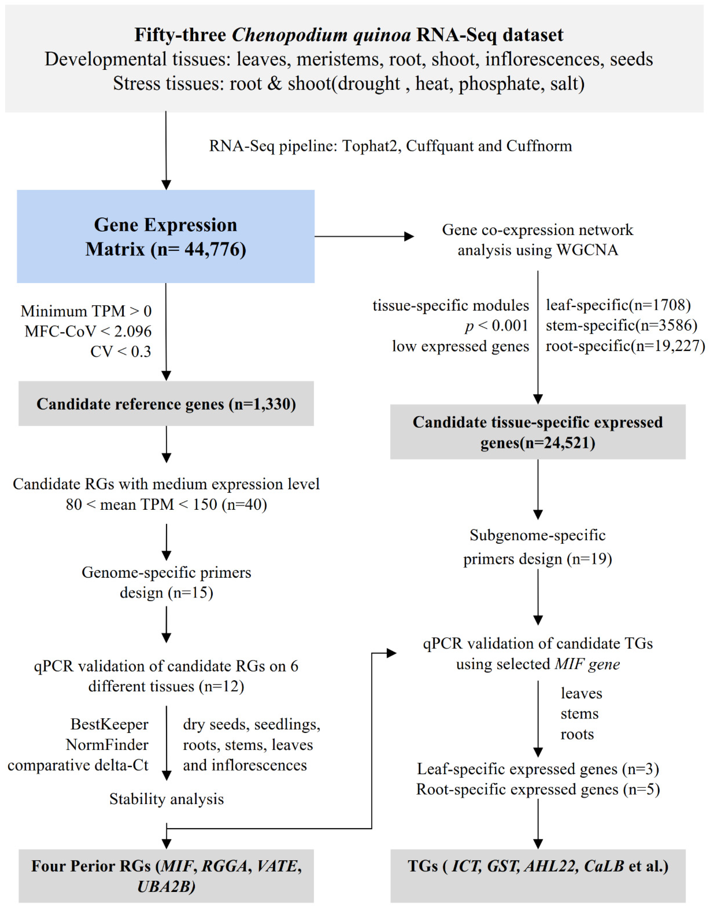 Horticulturae 07 00235 g001 Horticulturae 07 00235 g001