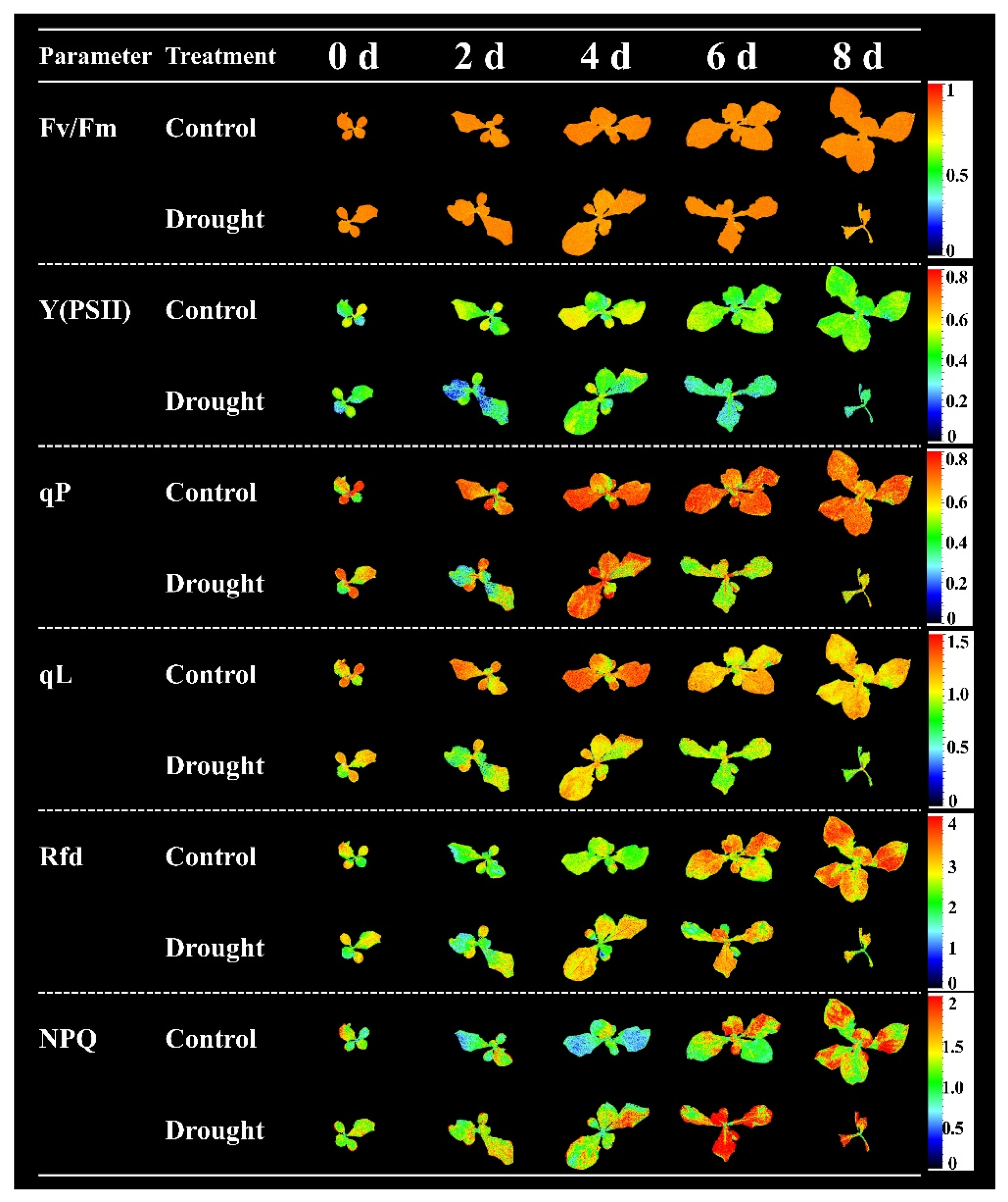 Horticulturae 07 00238 g003 Horticulturae 07 00238 g003