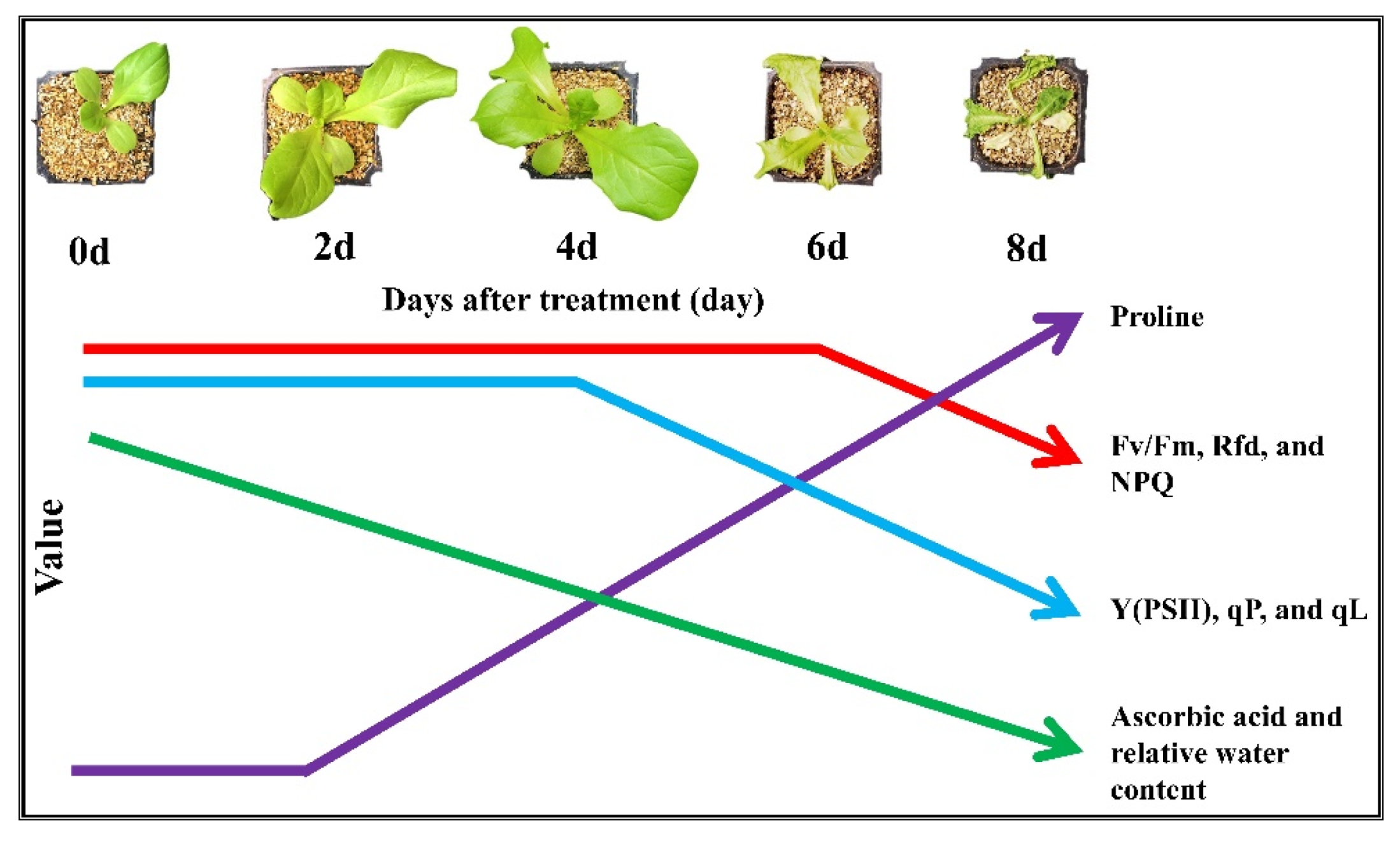 Horticulturae 07 00238 g007 Horticulturae 07 00238 g007