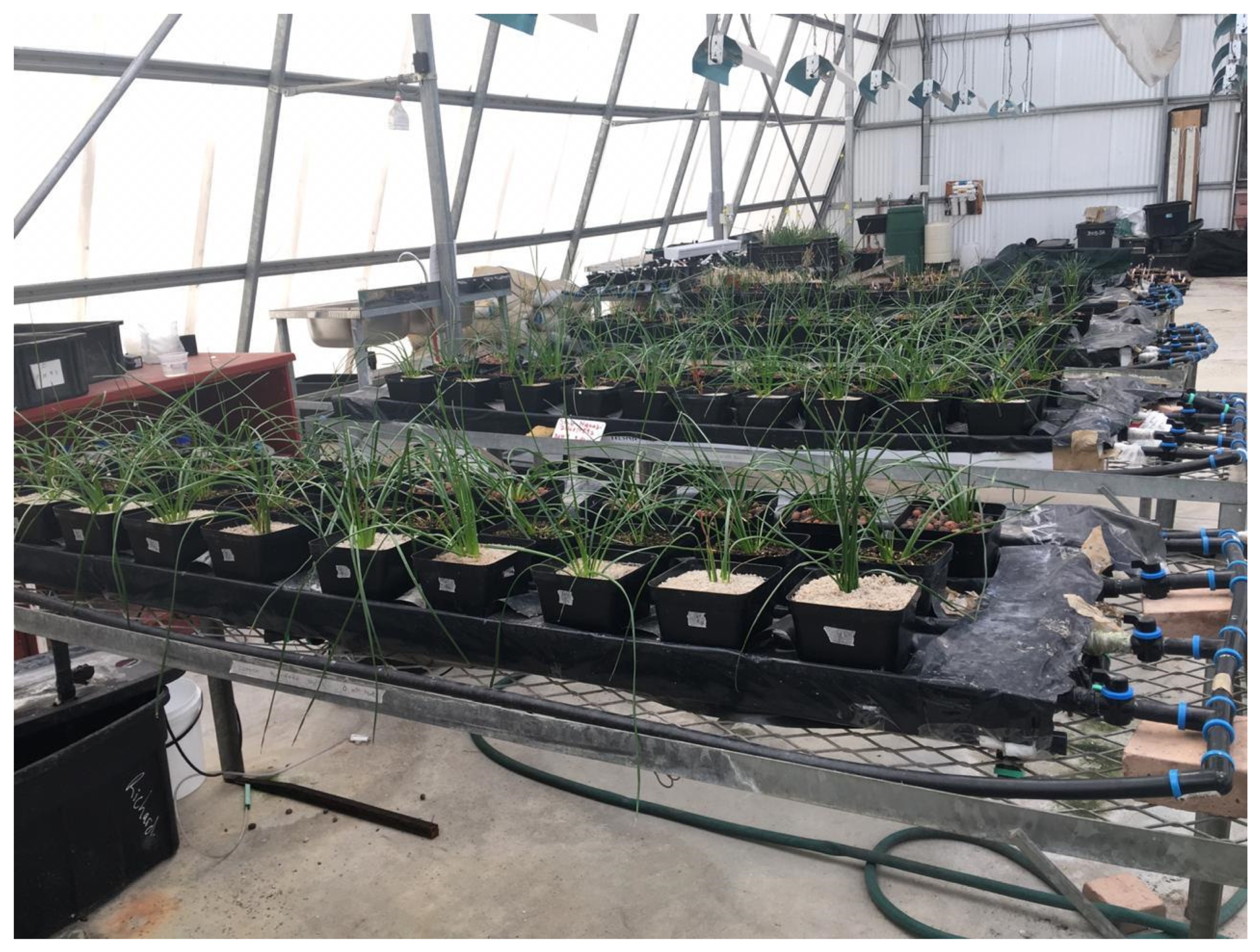 Horticulturae 07 00244 g001