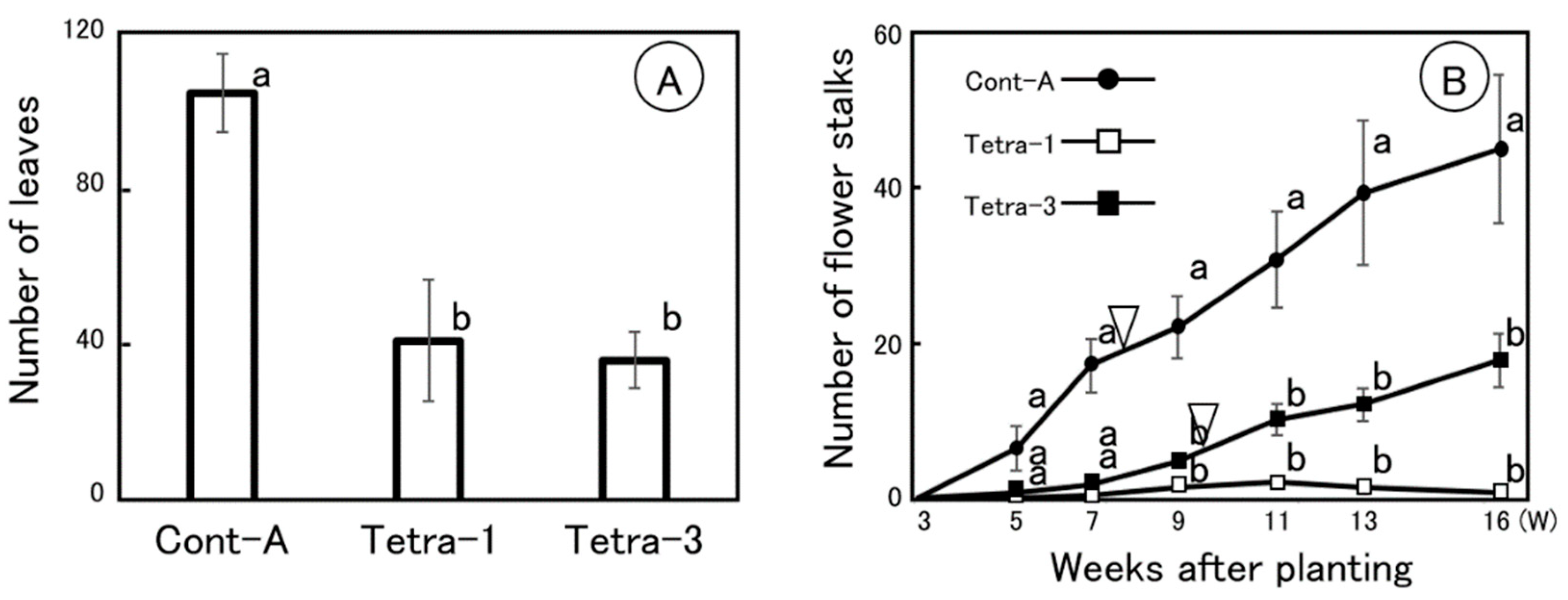 Horticulturae 07 00248 g006 Horticulturae 07 00248 g006