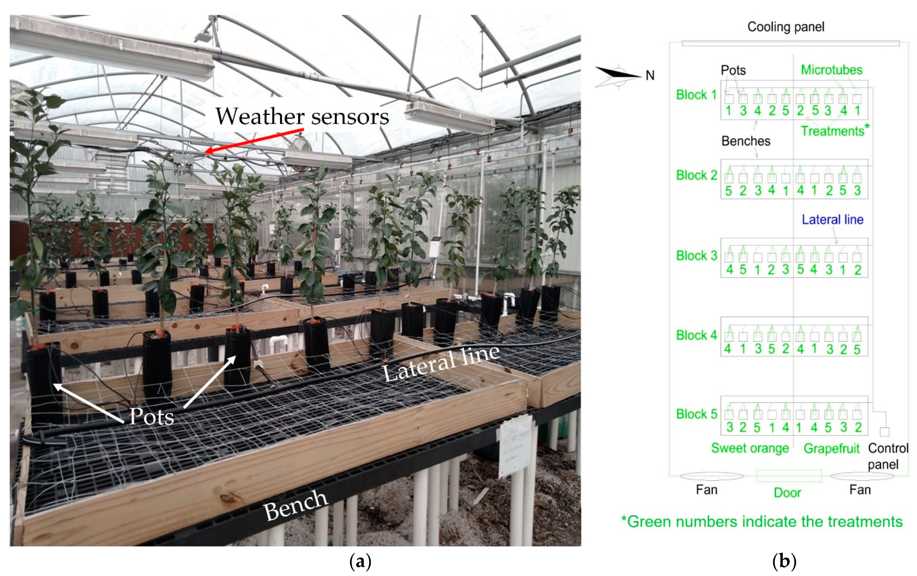 Horticulturae 07 00249 g001