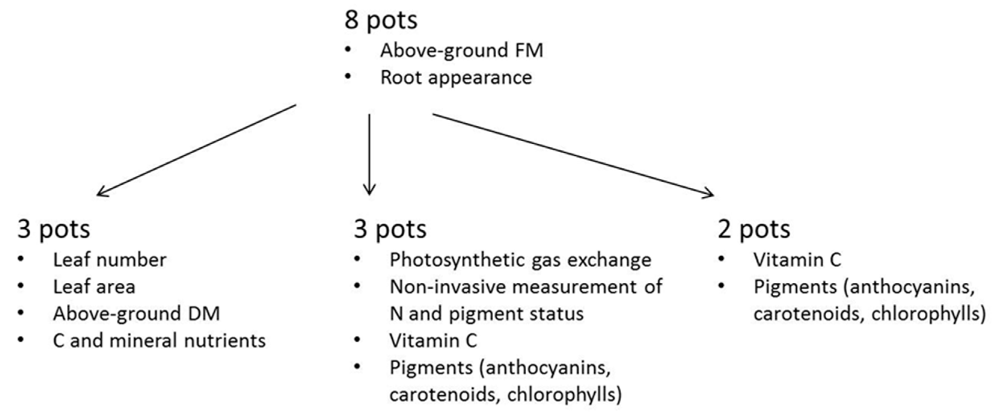 Horticulturae 07 00251 g002