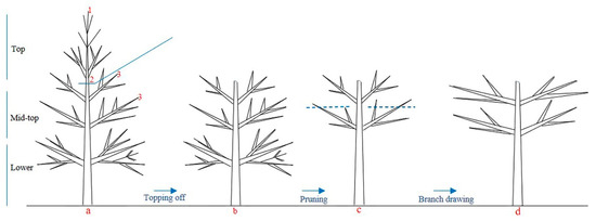 Horticulturae 07 00252 g002 550