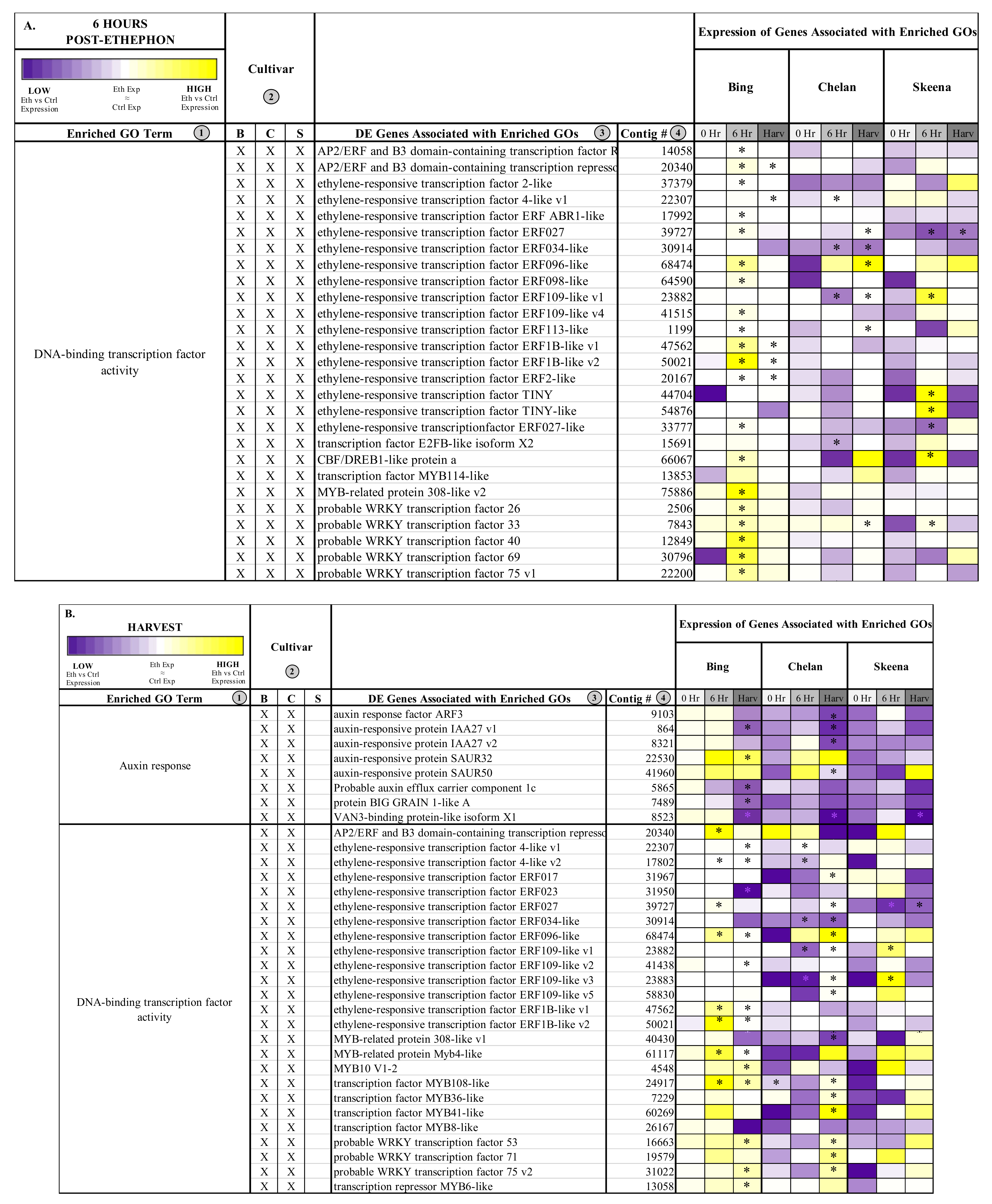 Horticulturae 07 00270 g004 550