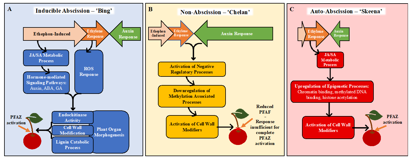 Horticulturae 07 00270 g007 550
