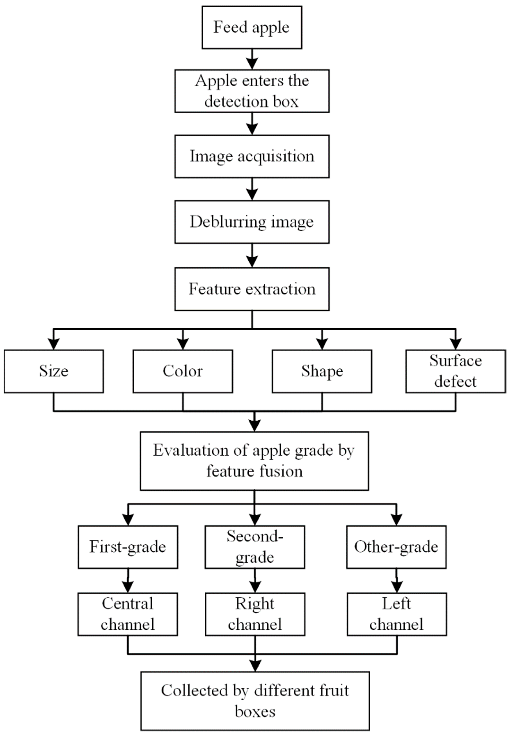 Horticulturae 07 00276 g002 550