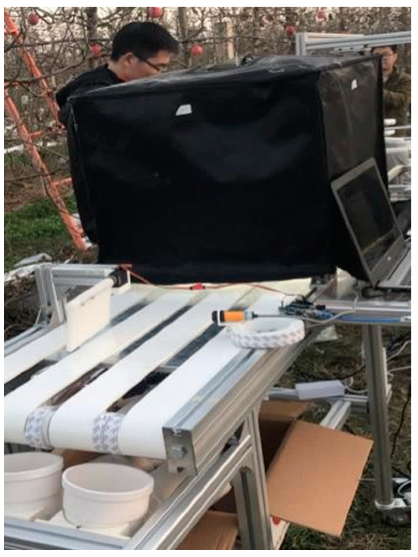 Horticulturae 07 00276 g005 550