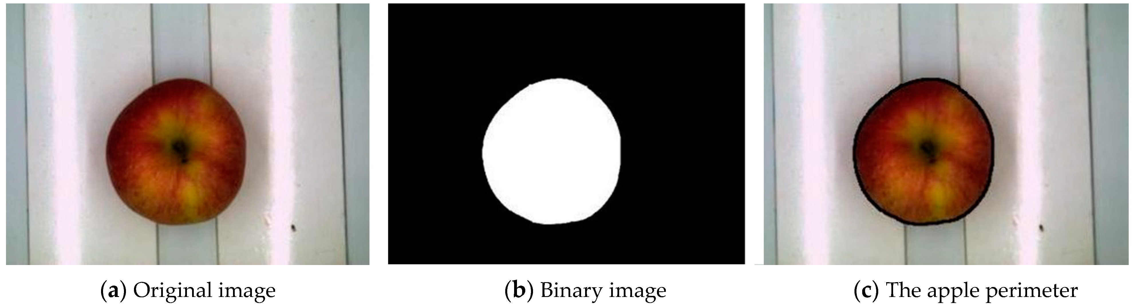 Horticulturae 07 00276 g006 550