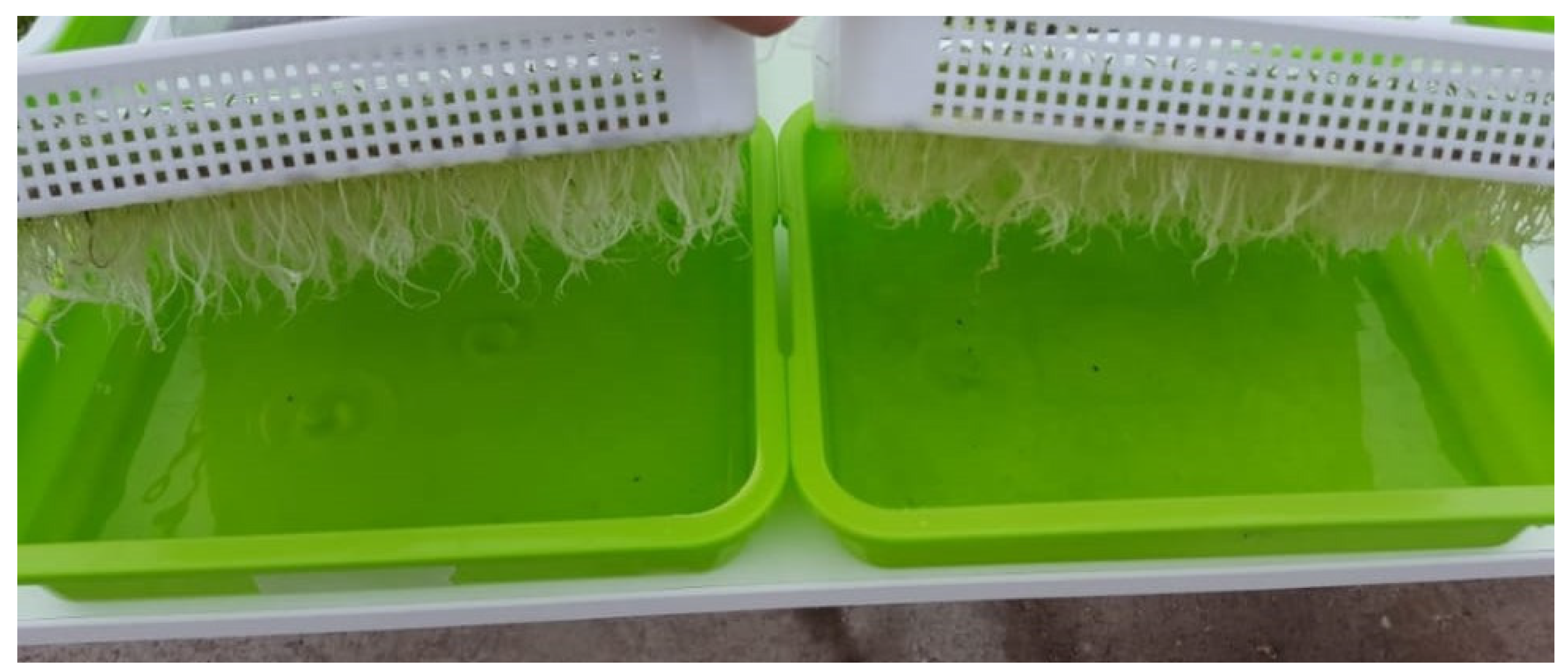 Horticulturae 07 00279 g001