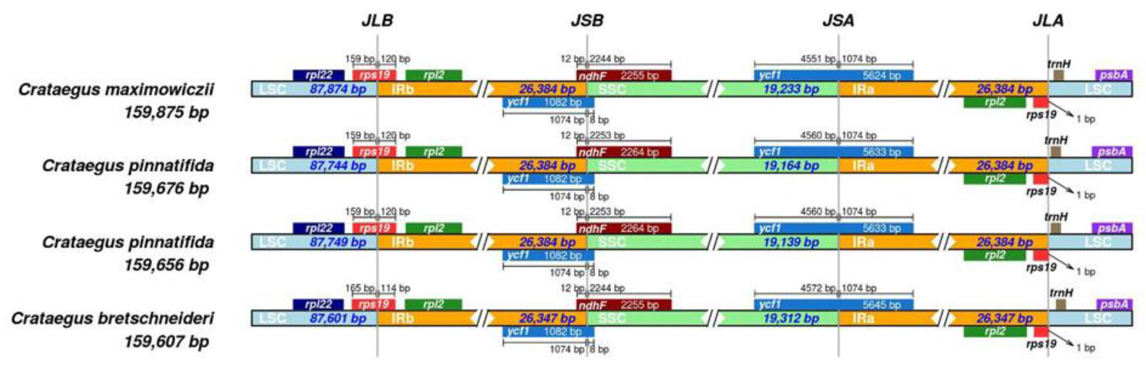 Horticulturae 07 00301 g002