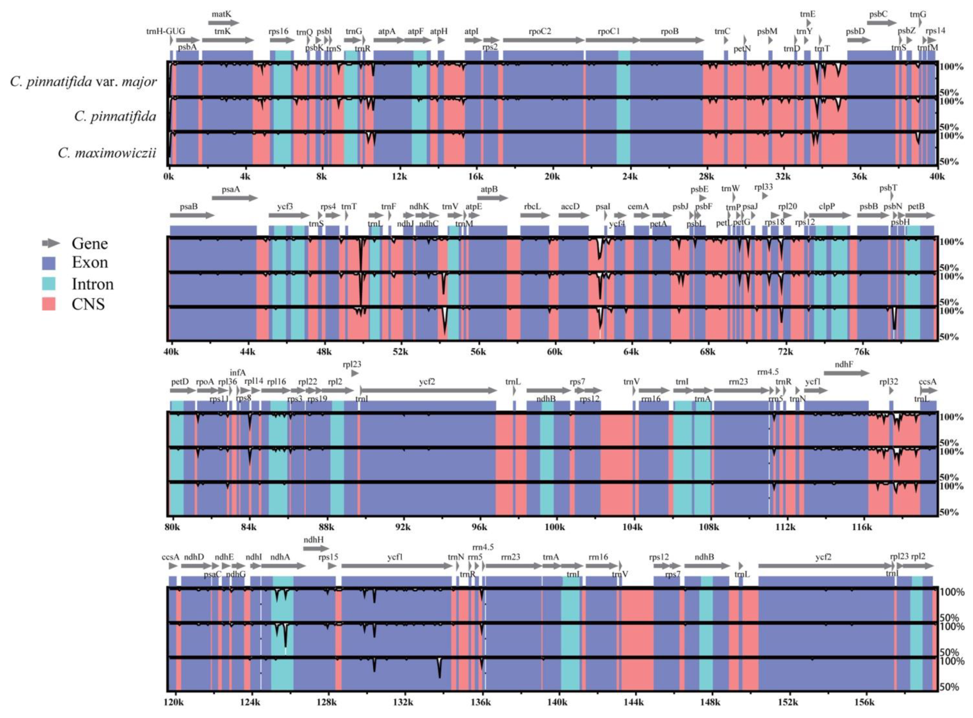 Horticulturae 07 00301 g003