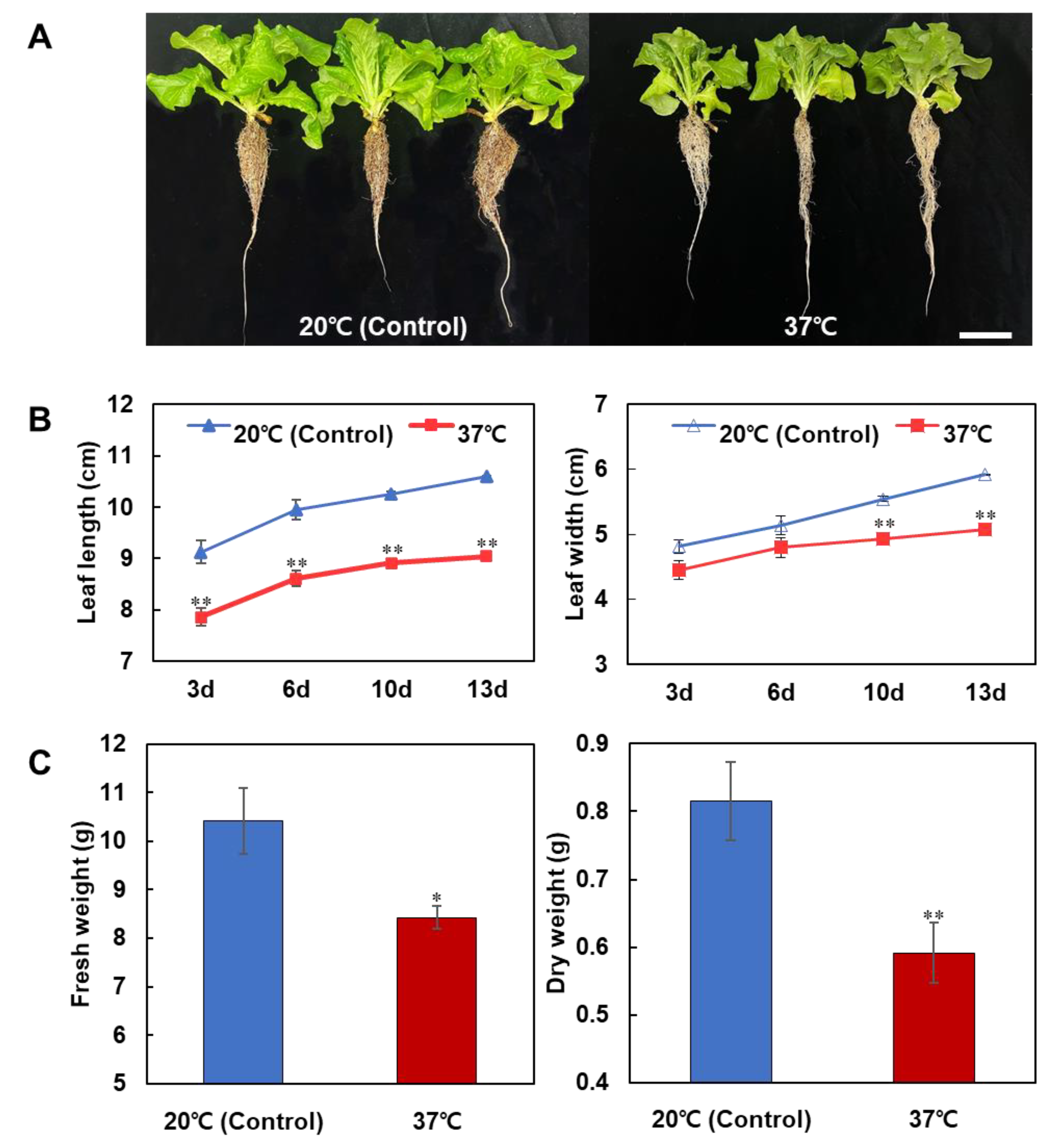 Horticulturae 07 00312 g001 Horticulturae 07 00312 g001