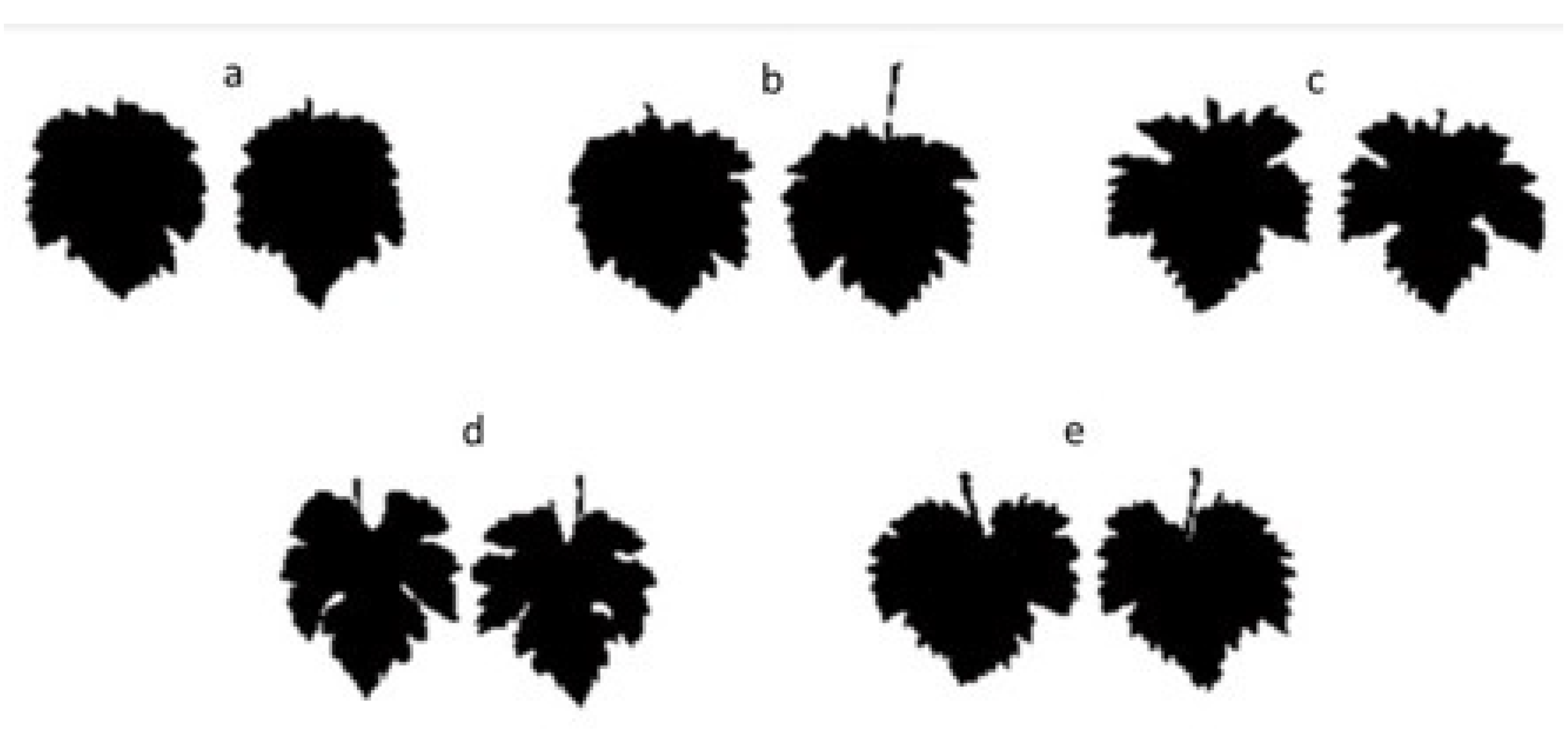 Horticulturae 07 00315 g001b