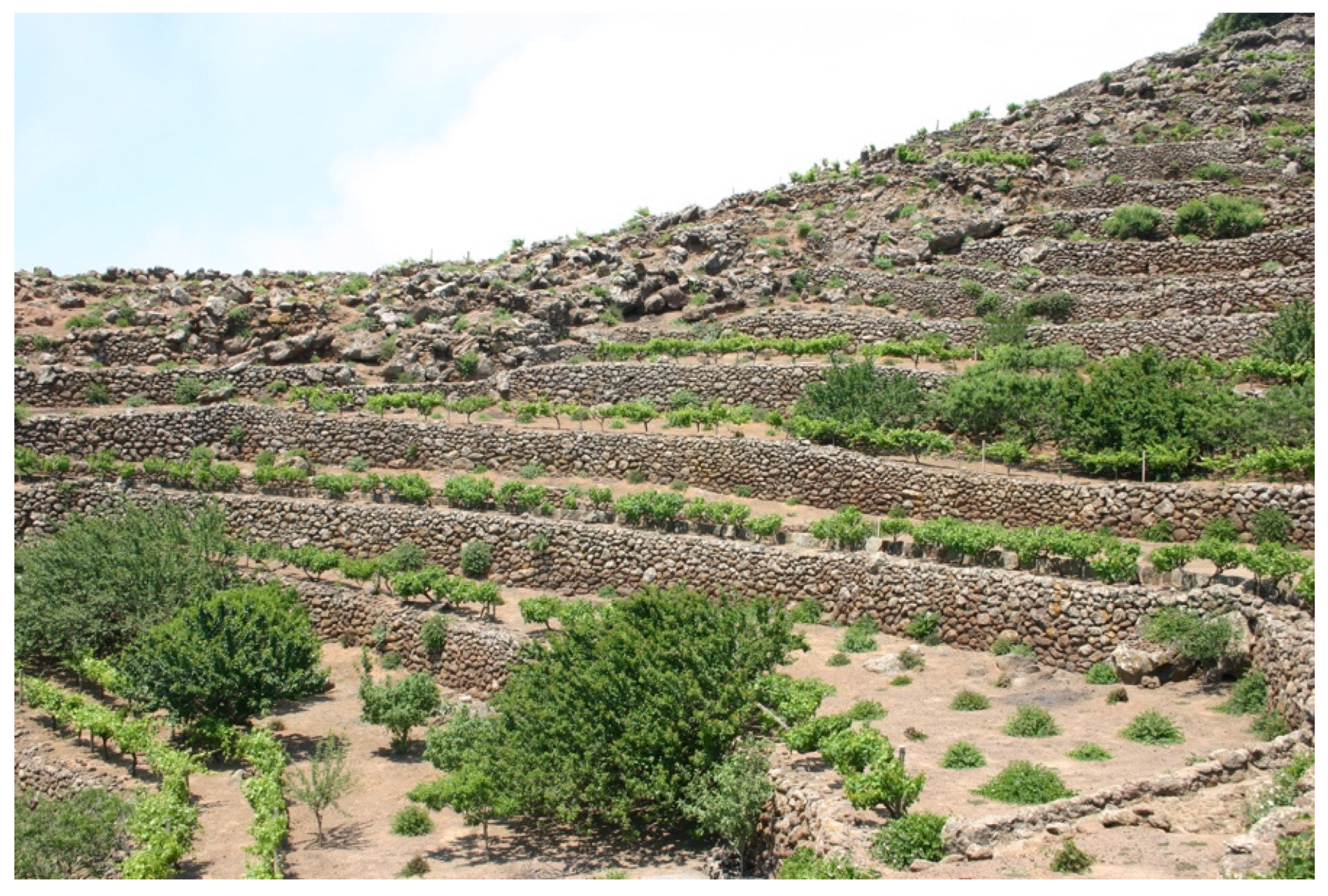 Horticulturae 07 00316 g001