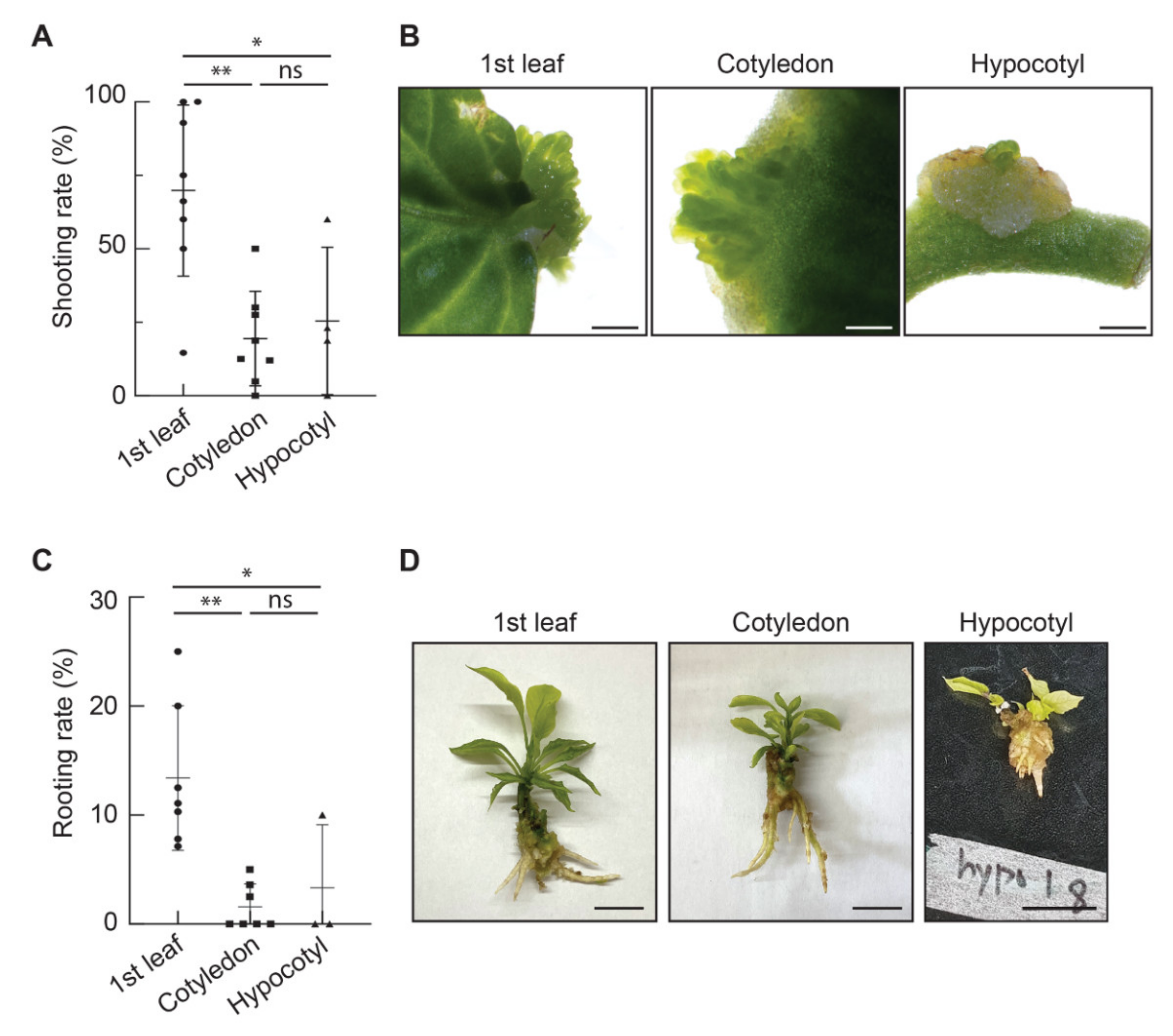 Horticulturae 07 00317 g002