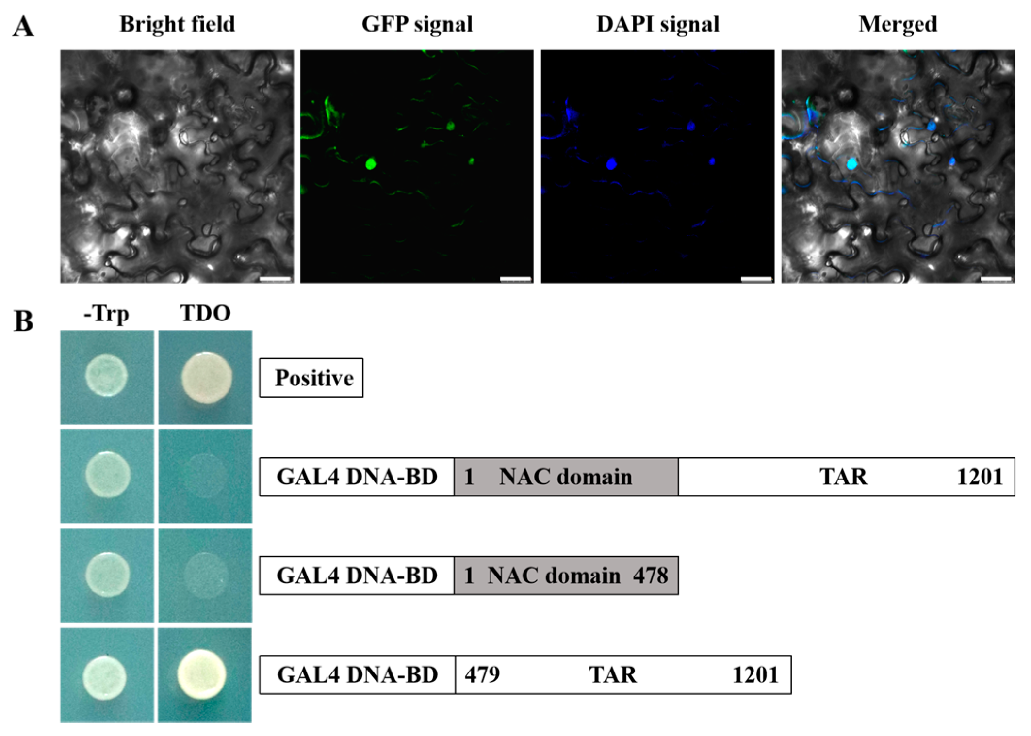 Horticulturae 07 00323 g003 550