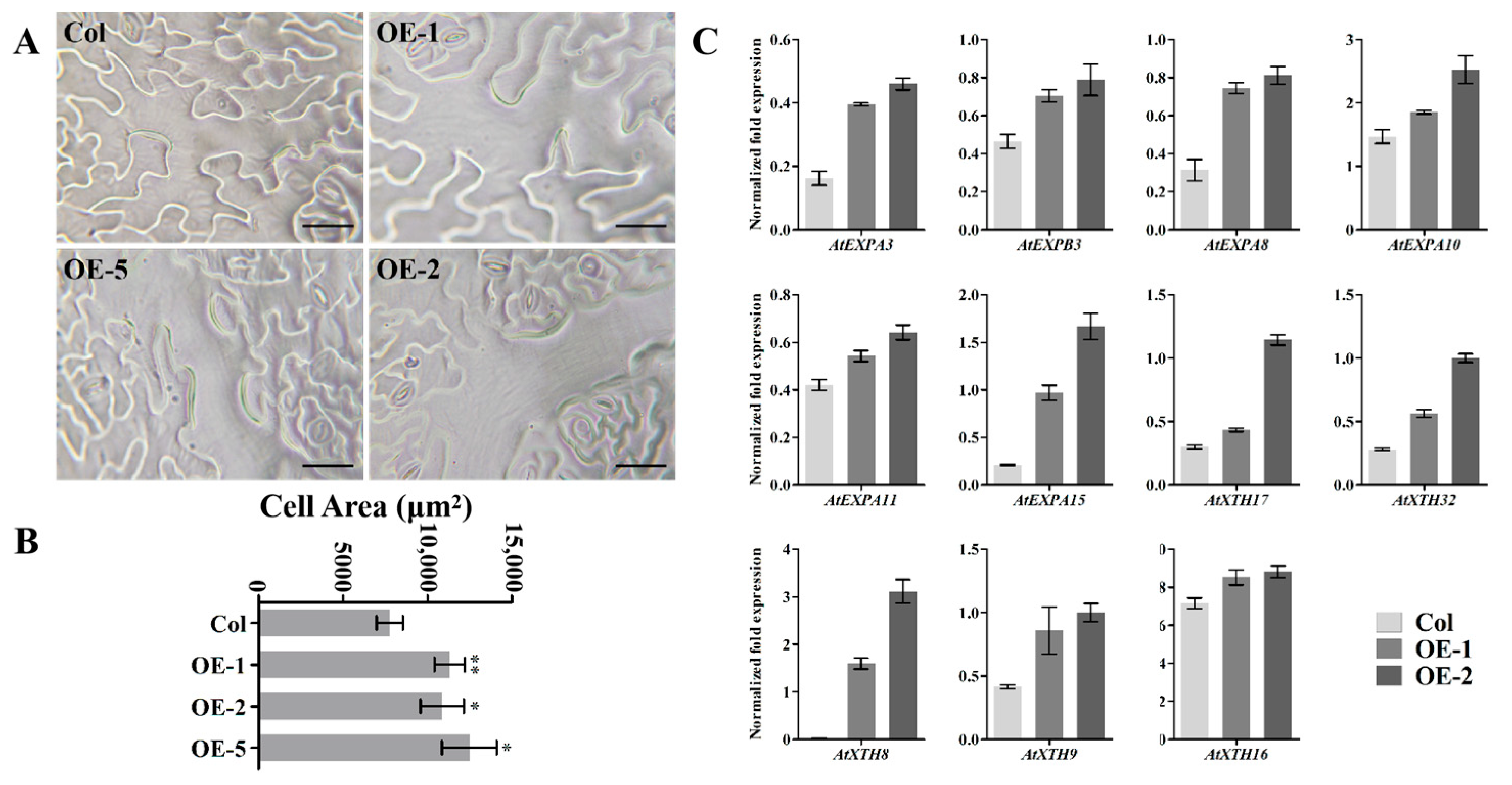 Horticulturae 07 00323 g006 550