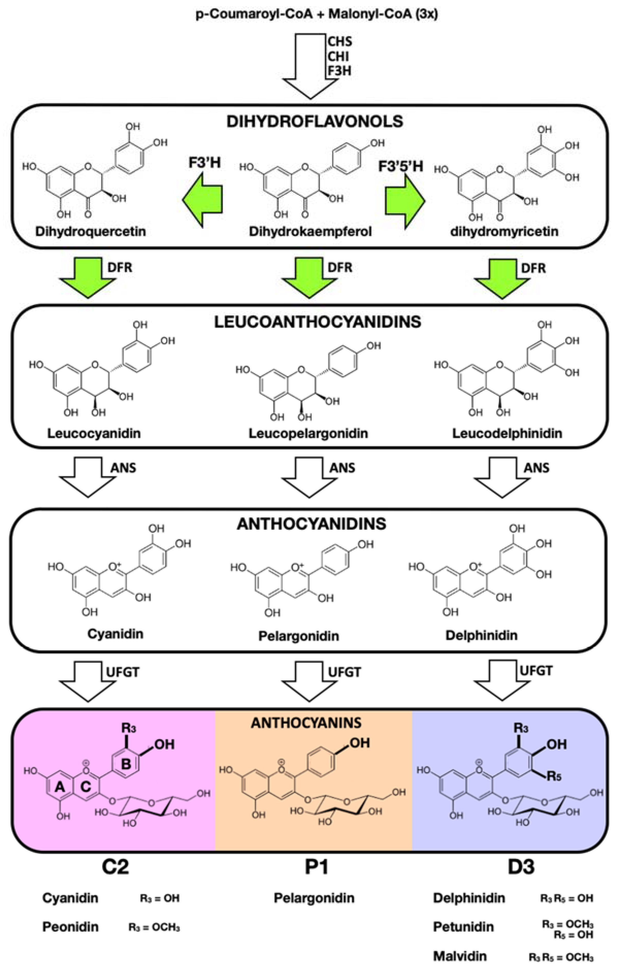 Horticulturae 07 00327 g001 550