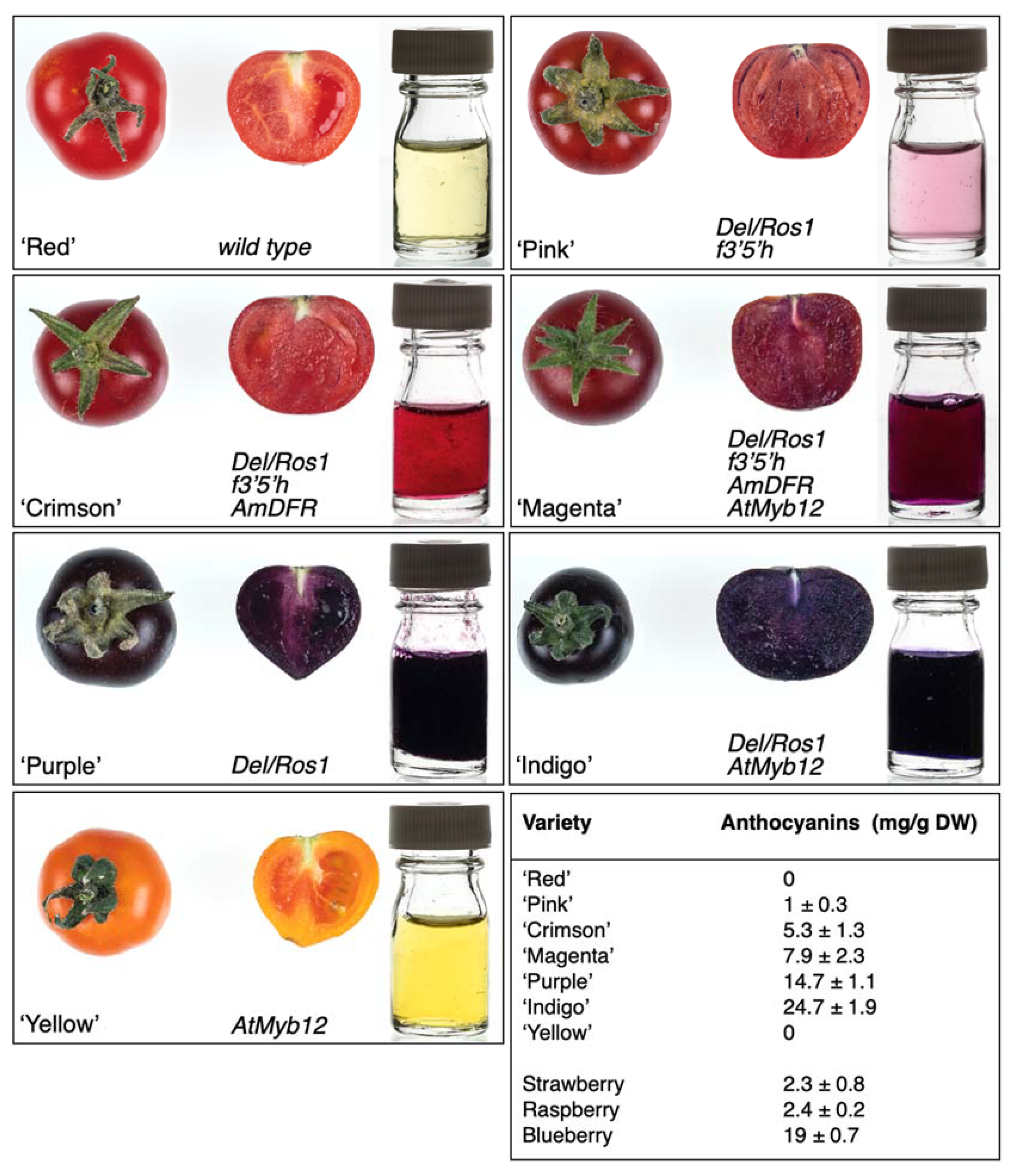 Horticulturae 07 00327 g002 550