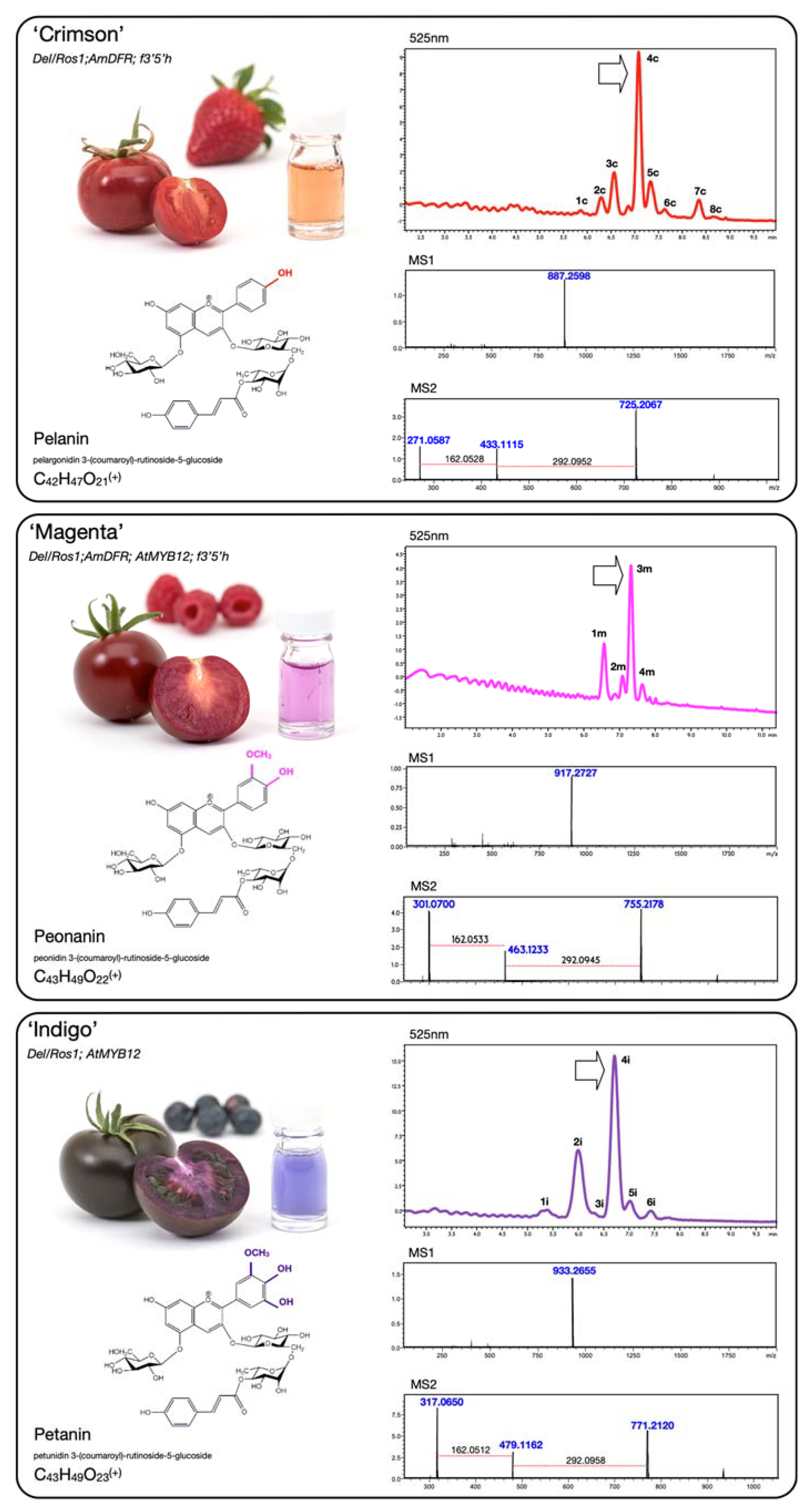 Horticulturae 07 00327 g003 550