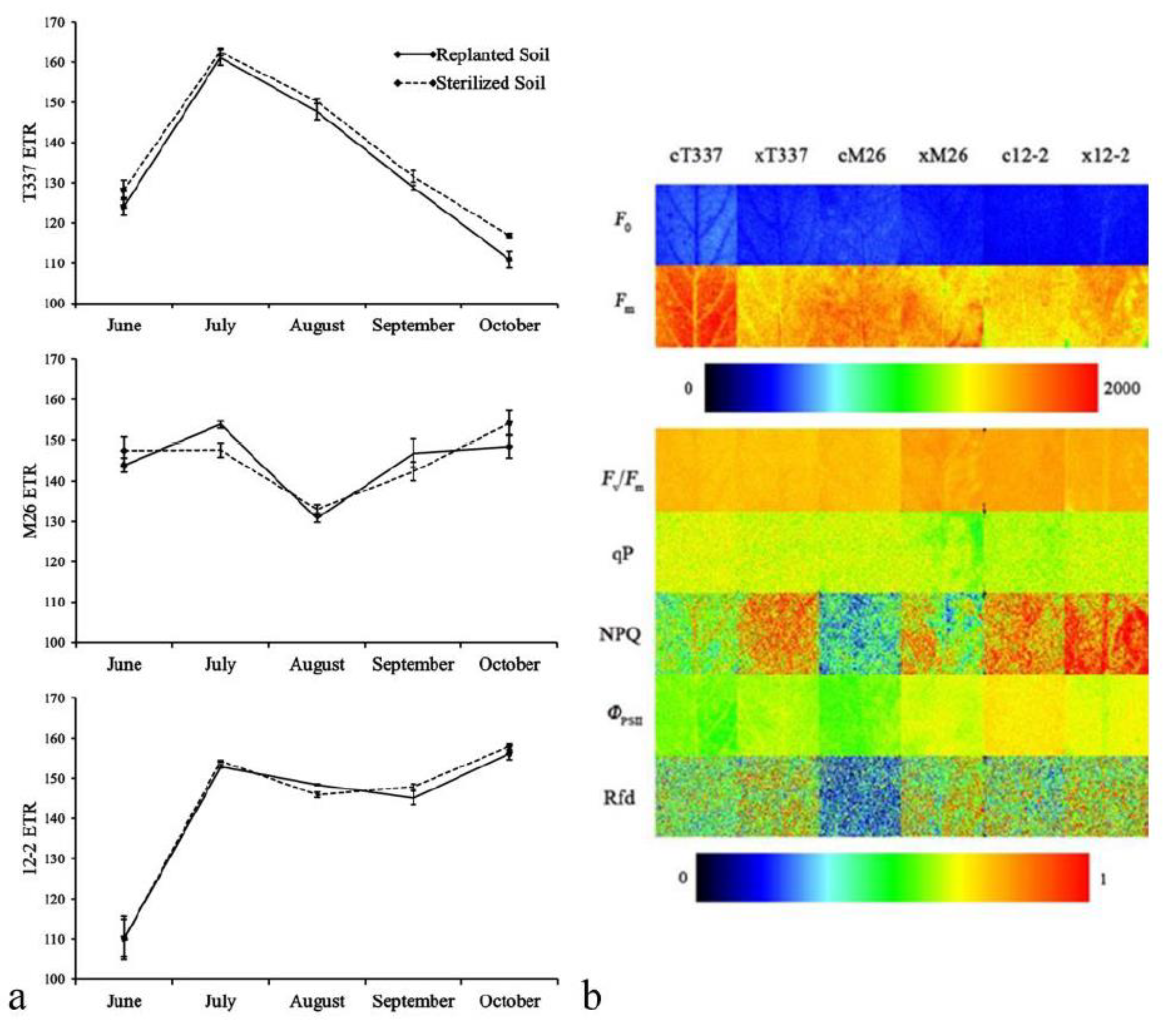 Horticulturae 07 00337 g004