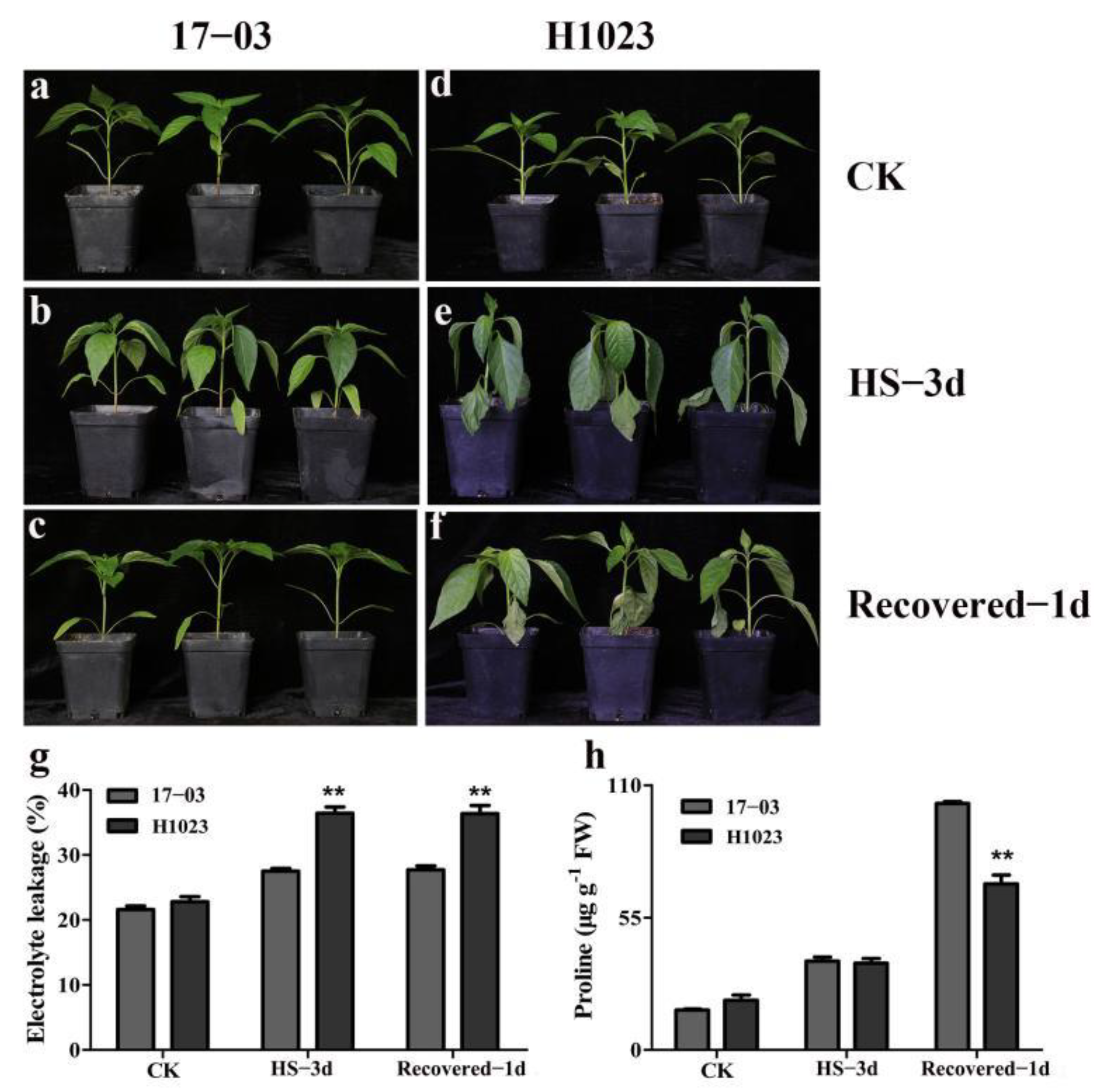Horticulturae 07 00339 g001