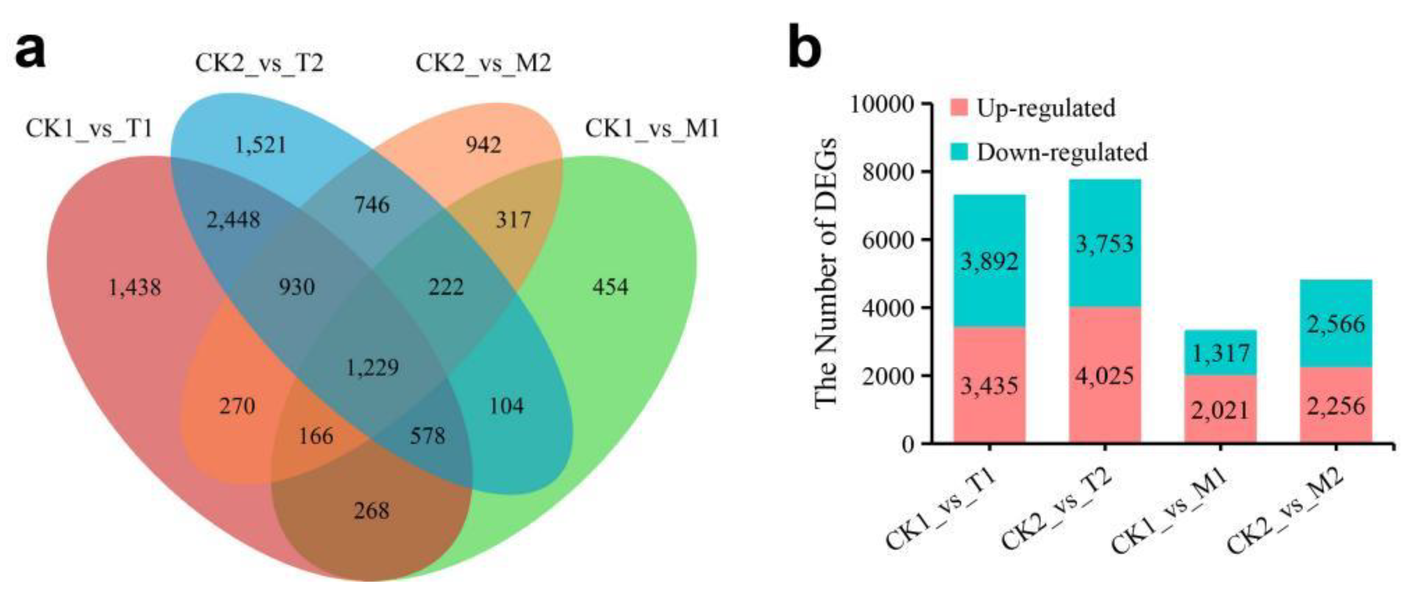 Horticulturae 07 00339 g002