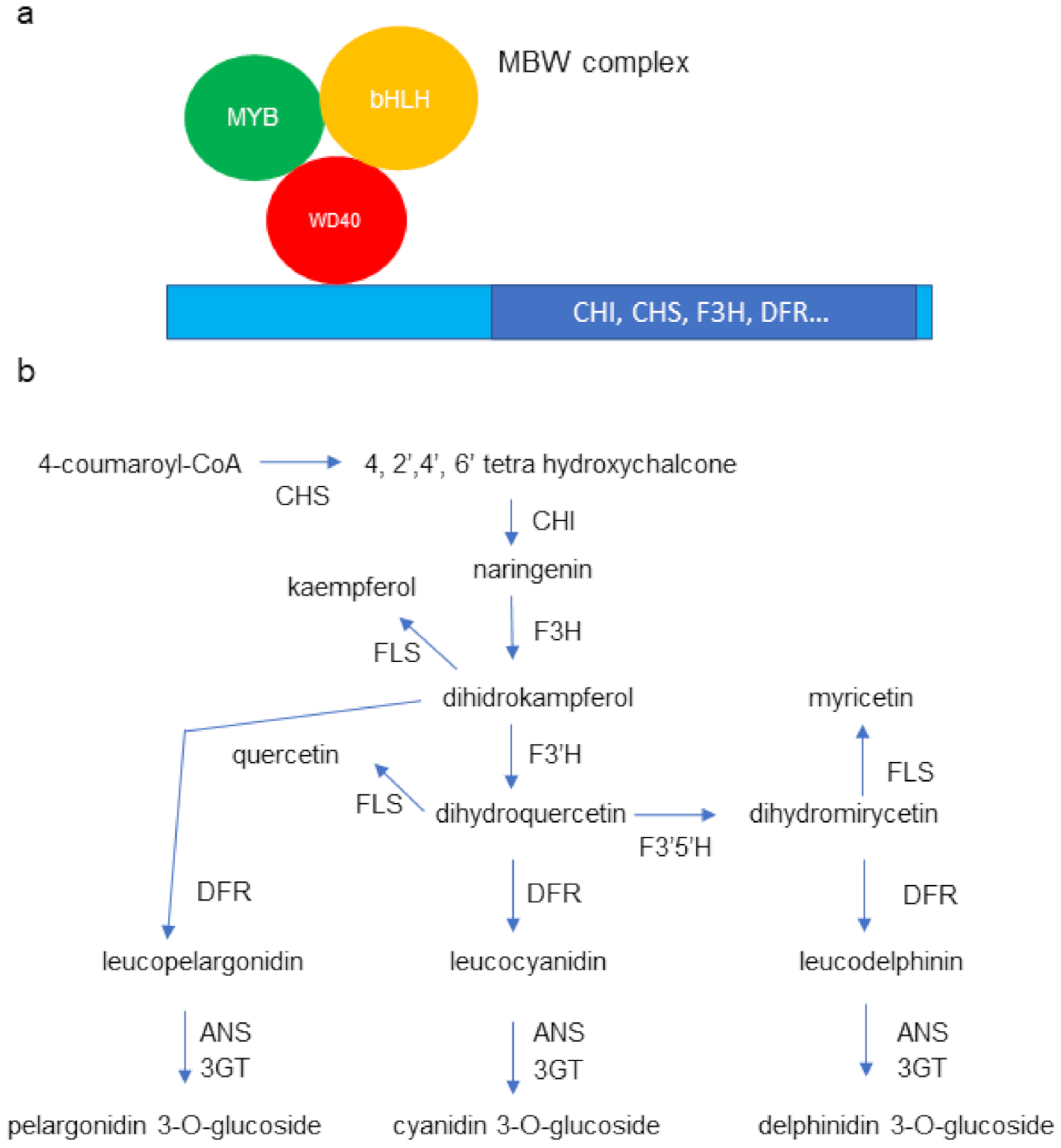 Horticulturae 07 00340 g004