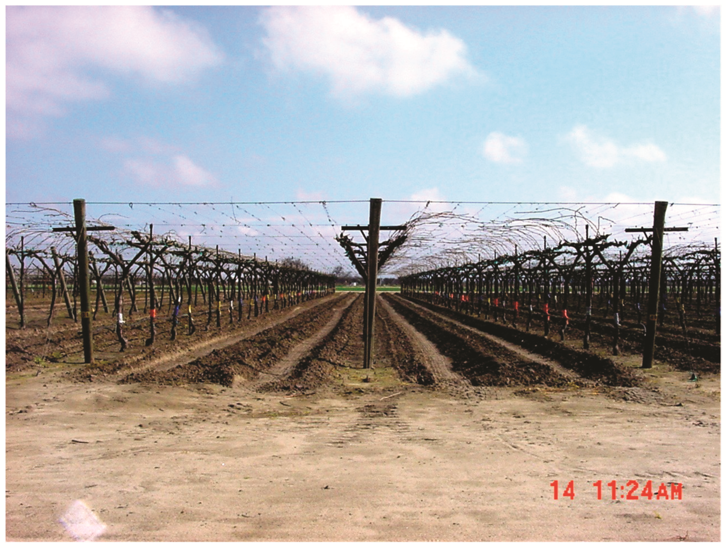 Horticulturae 07 00356 g001 550