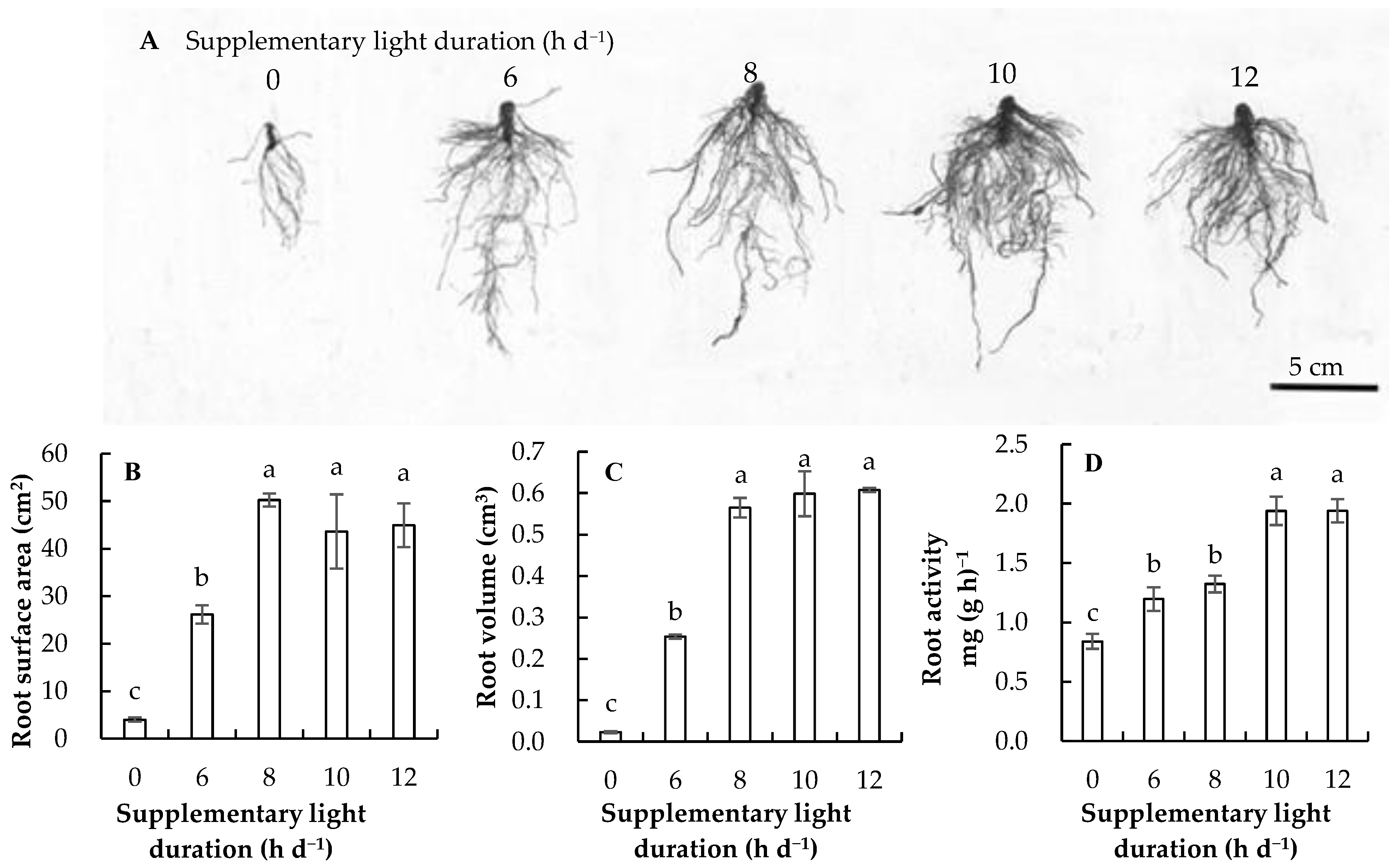 Horticulturae 07 00361 g003