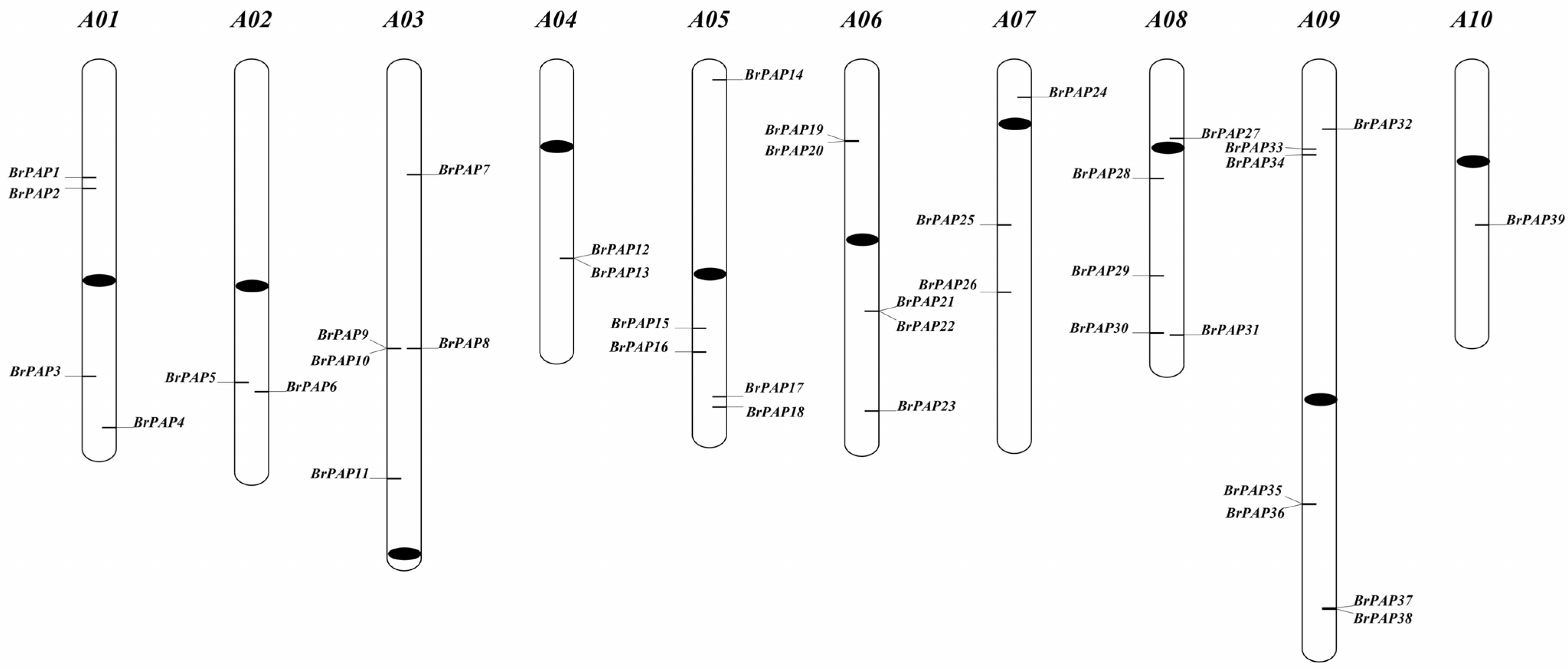 Horticulturae 07 00363 g001 550