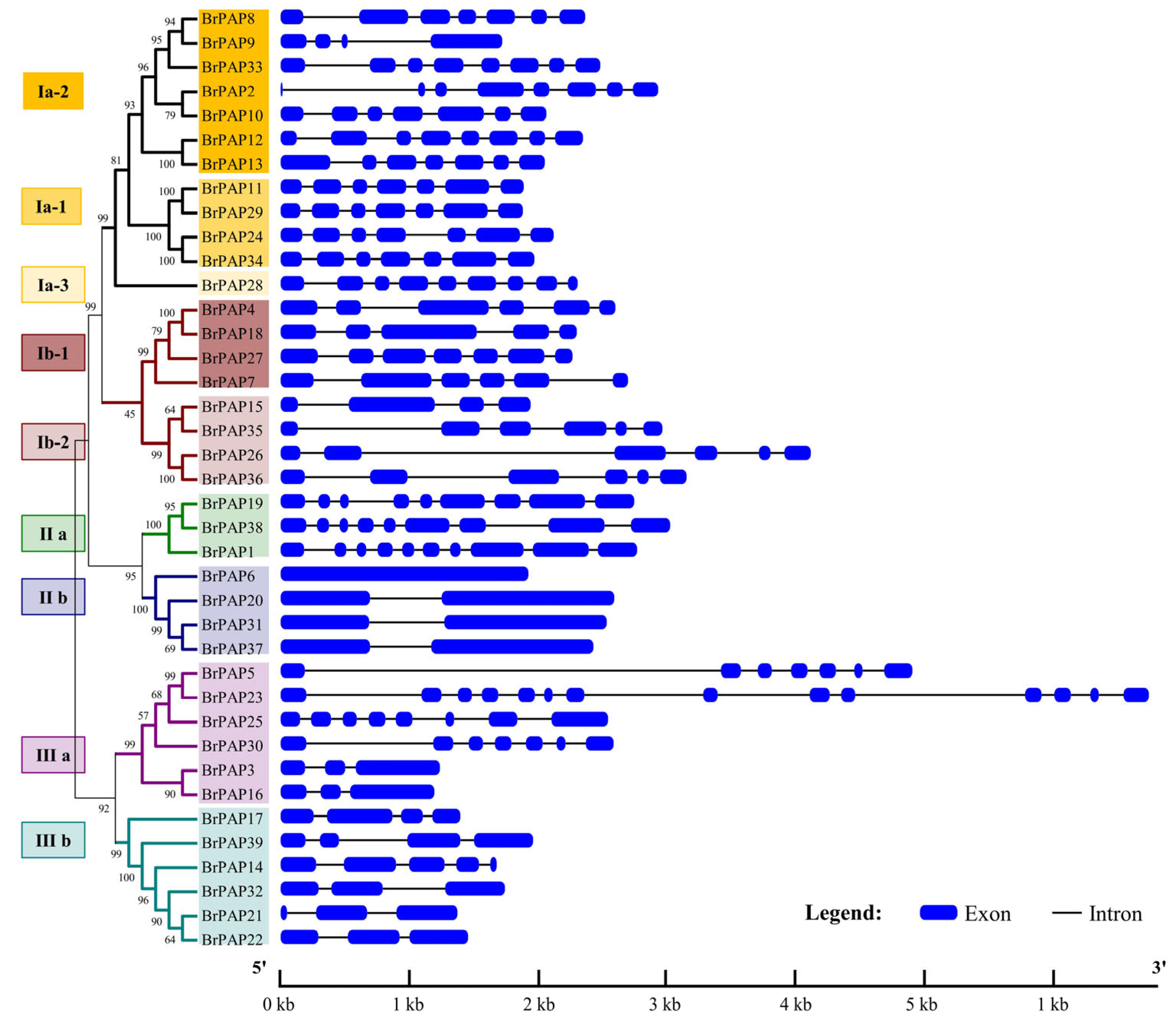 Horticulturae 07 00363 g003 550