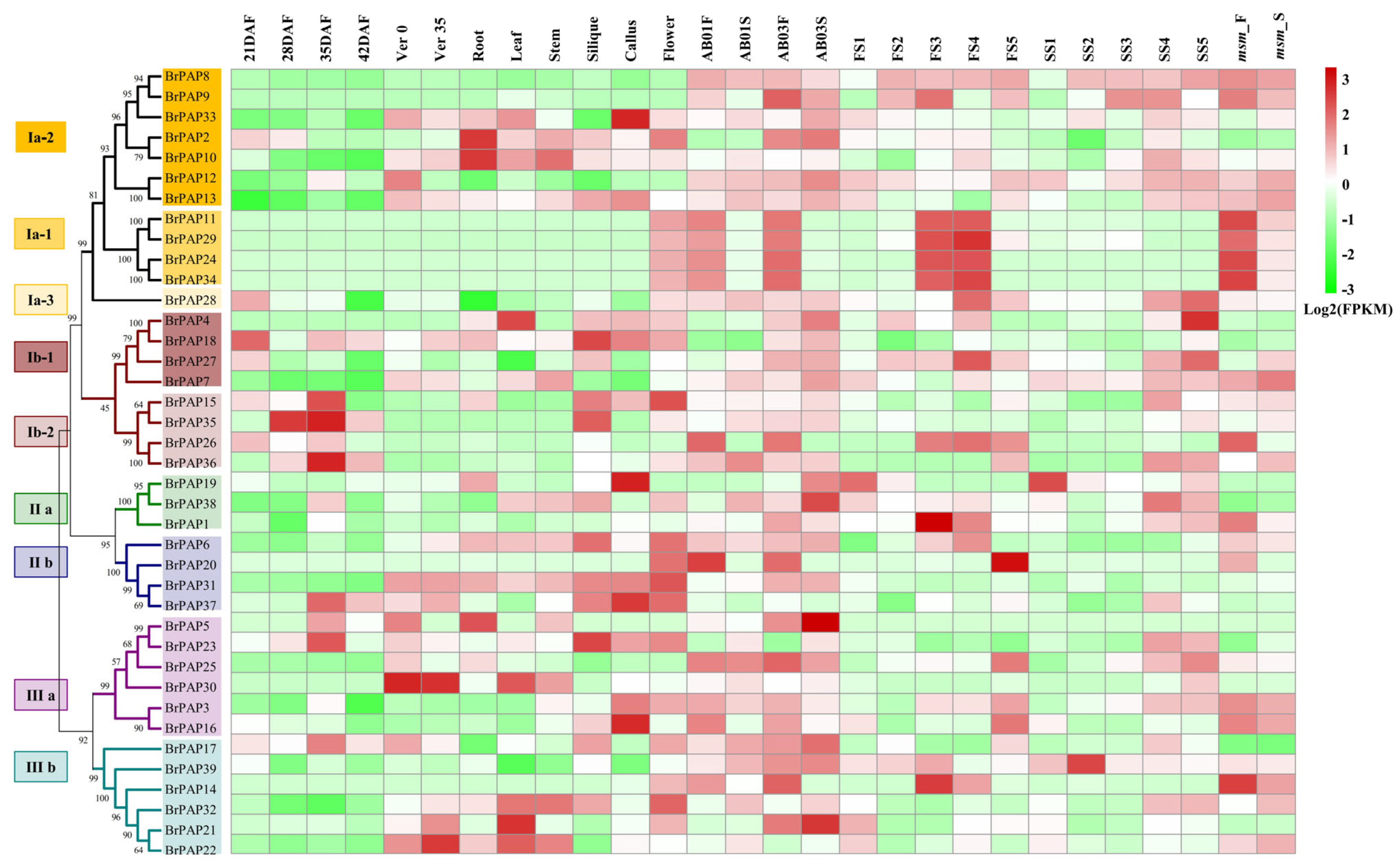 Horticulturae 07 00363 g004 550