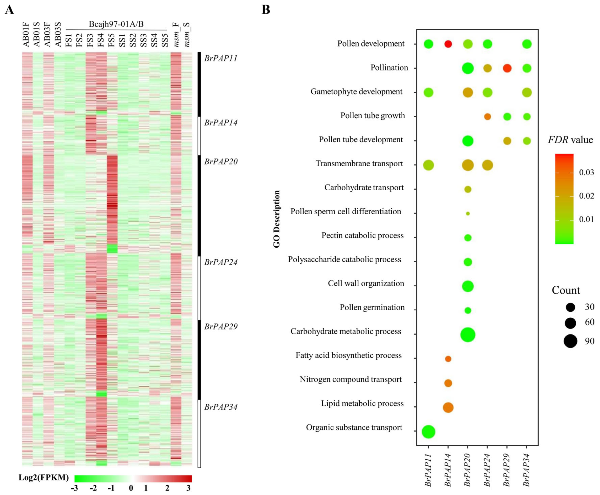 Horticulturae 07 00363 g006 550