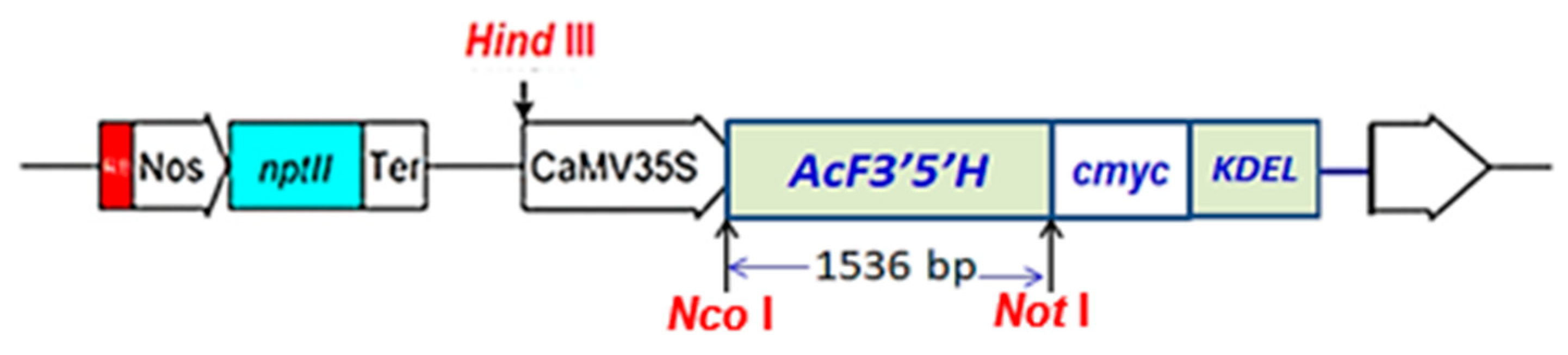 Horticulturae 07 00384 g001