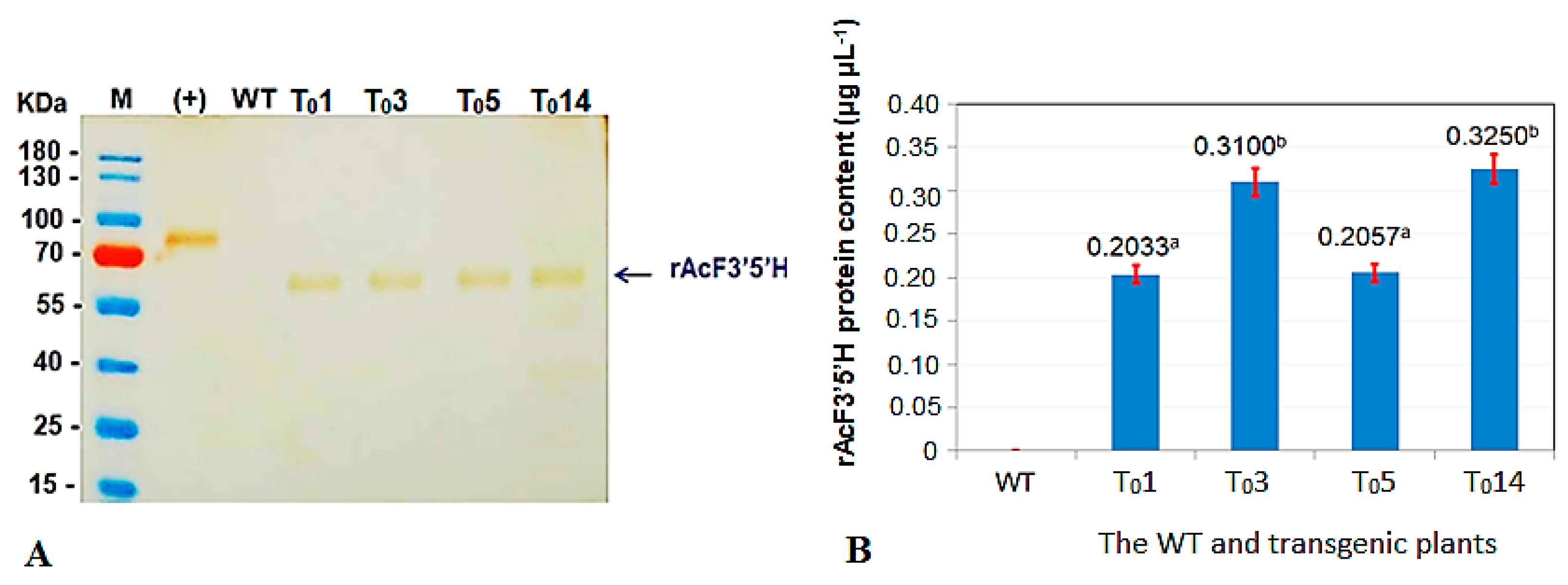Horticulturae 07 00384 g003