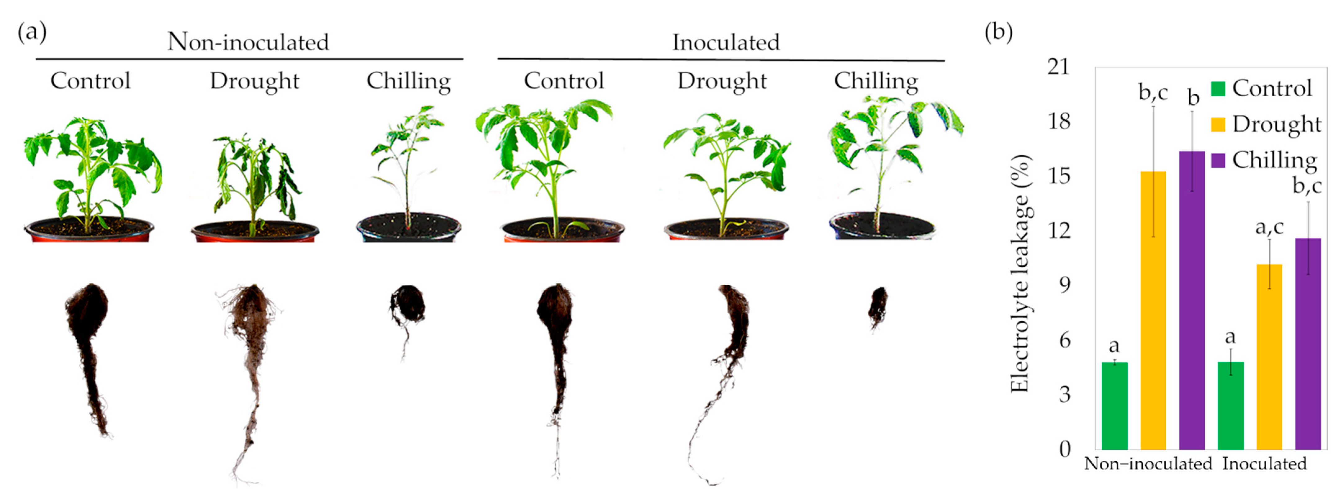 Horticulturae 07 00385 g002 Horticulturae 07 00385 g002